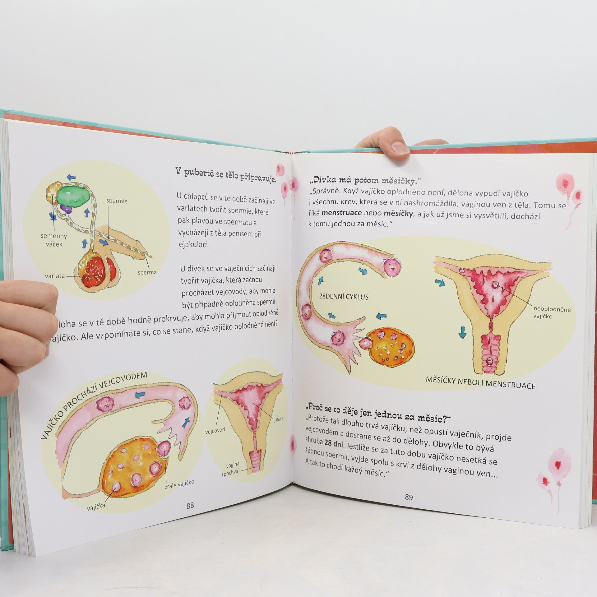Autores varios Co chci vědět o sexu