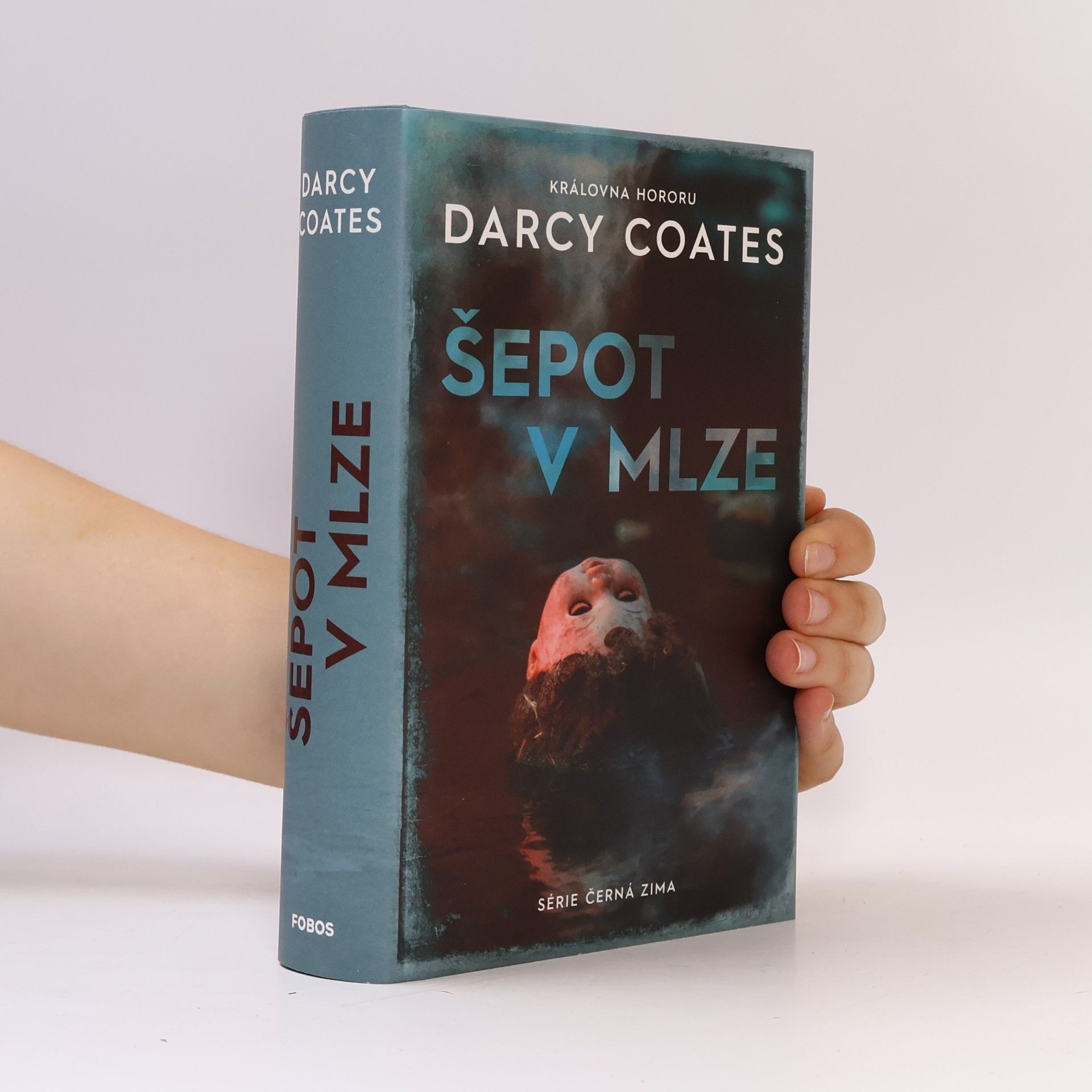 Darcy Coates Šepot v mlze