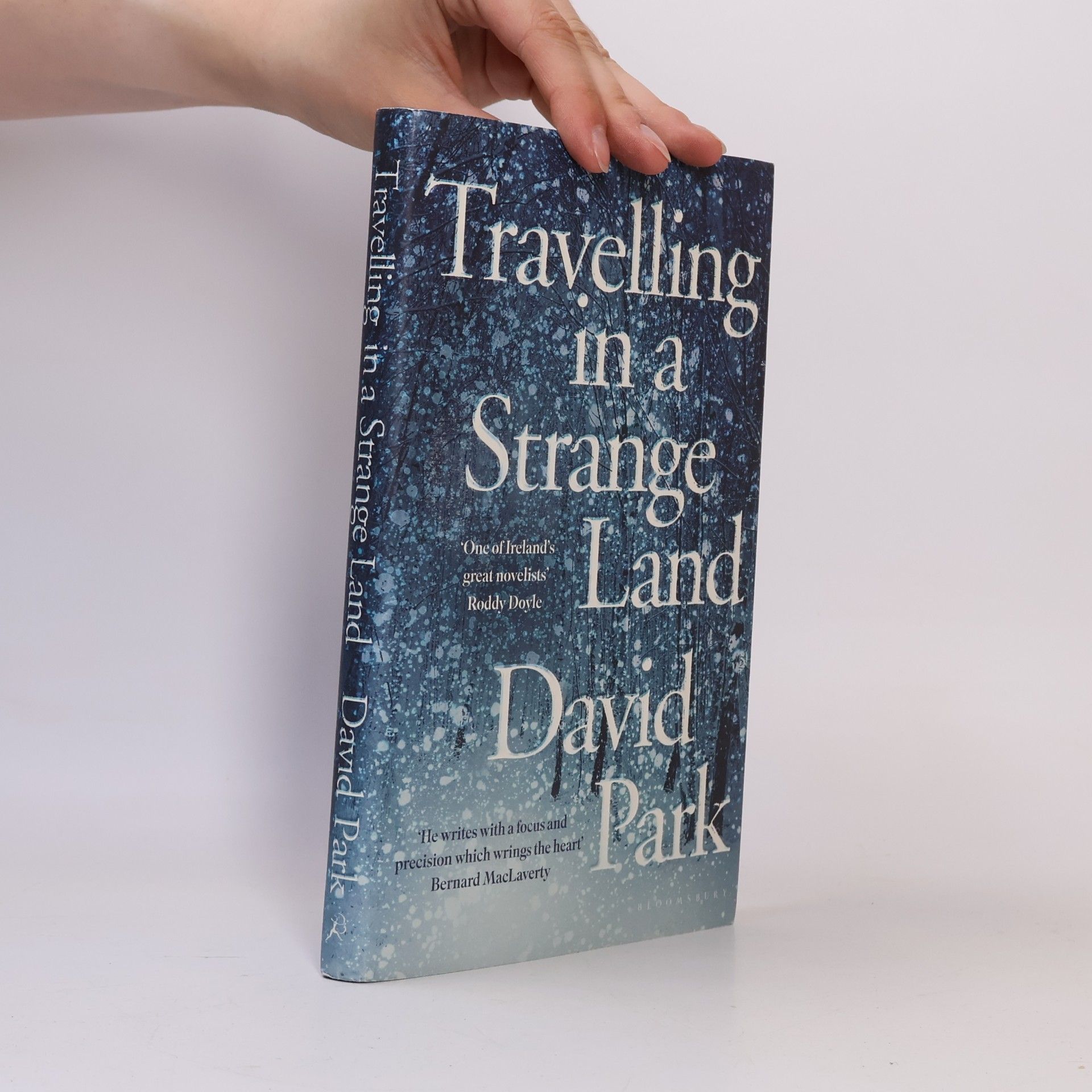 David Park Travelling in a Strange Land