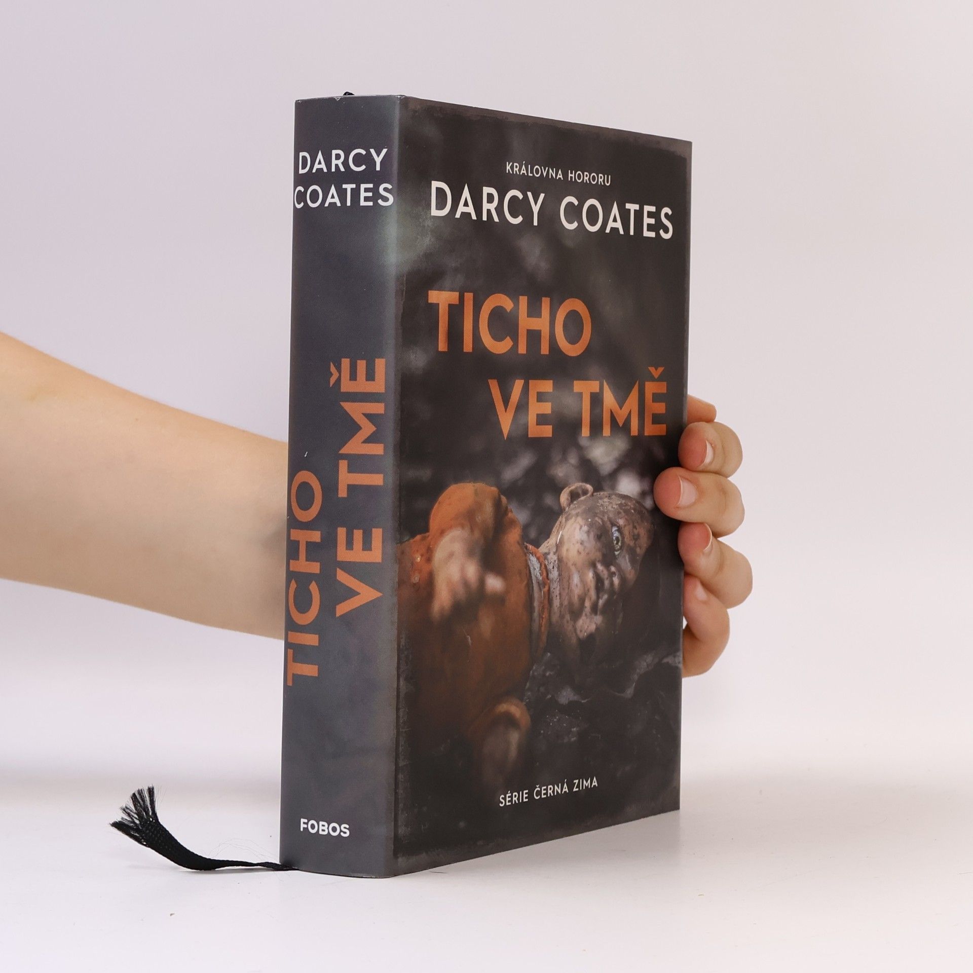 Darcy Coates Ticho ve tmě