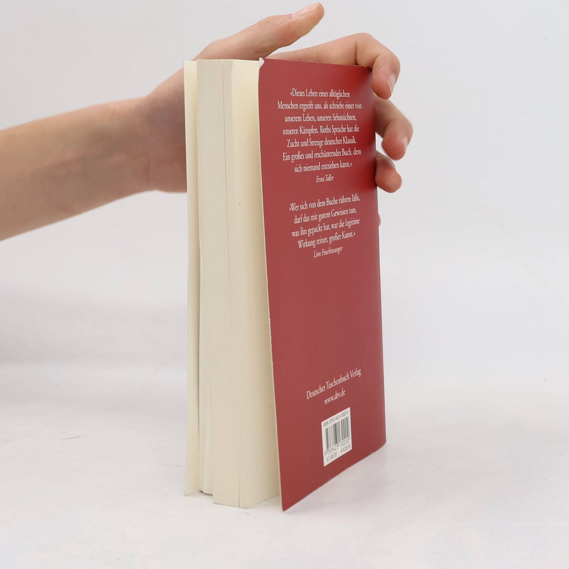 Joseph Roth Hiob : Roman eines einfachen Mannes