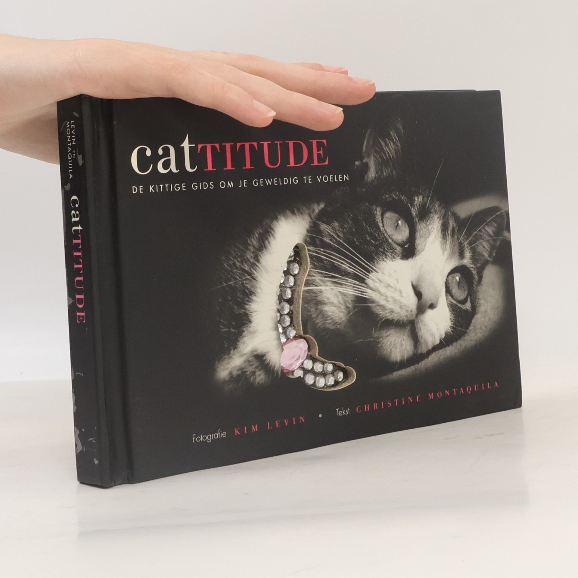 Cattitude