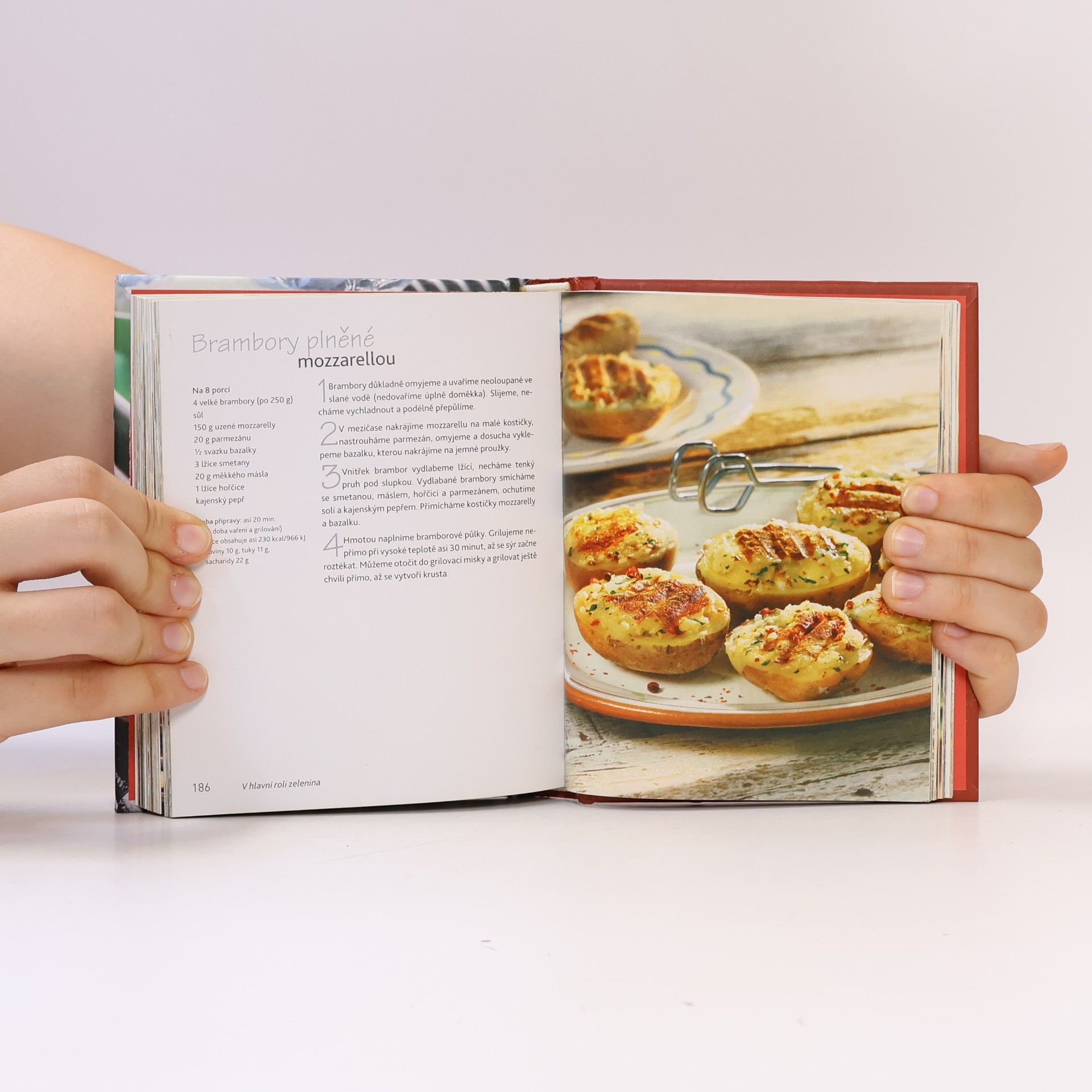Autorenkollektiv Grilování. Rozmanité steaky, plody moře, zelenina i ovoce