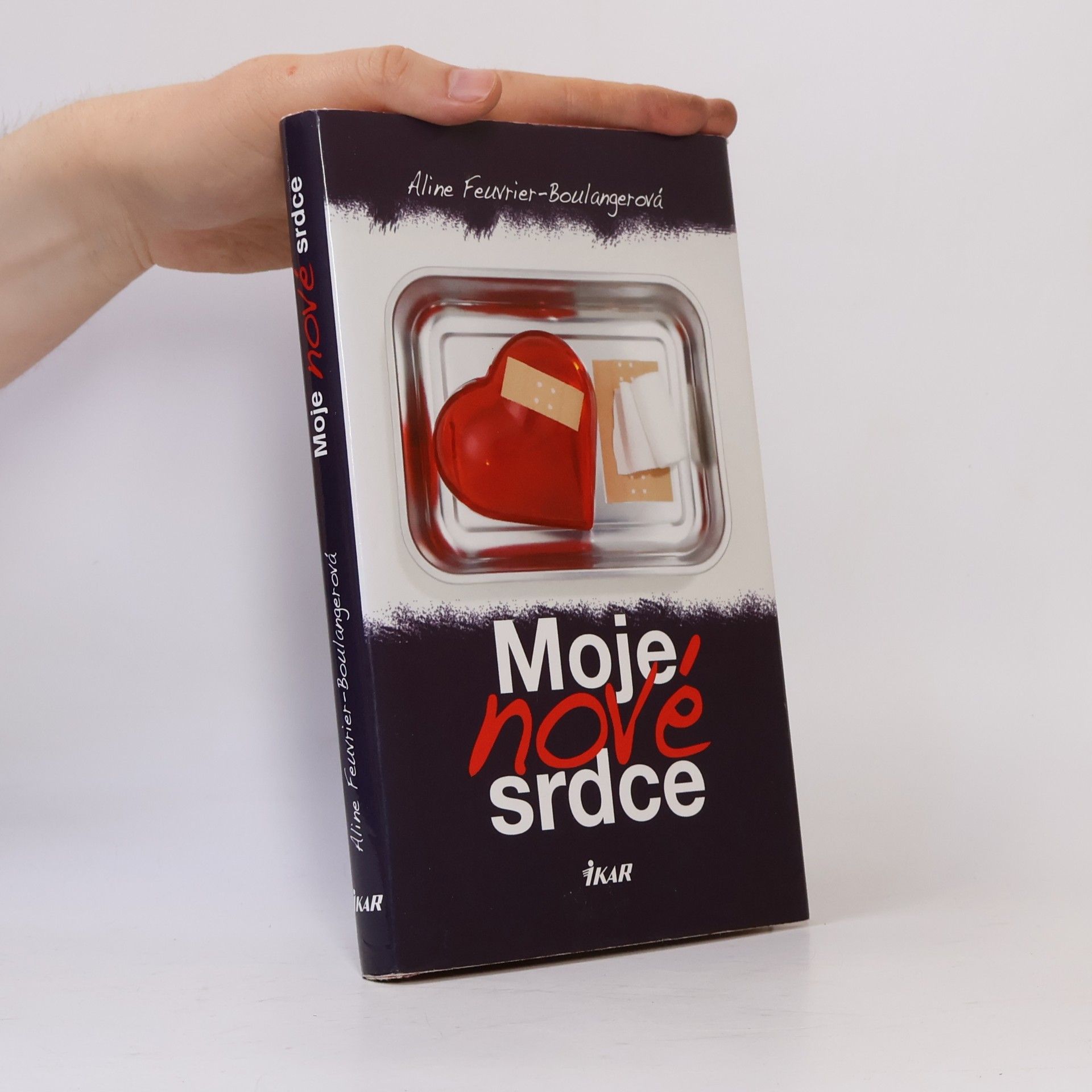 Aline Feuvrier Boulanger Moje nové srdce
