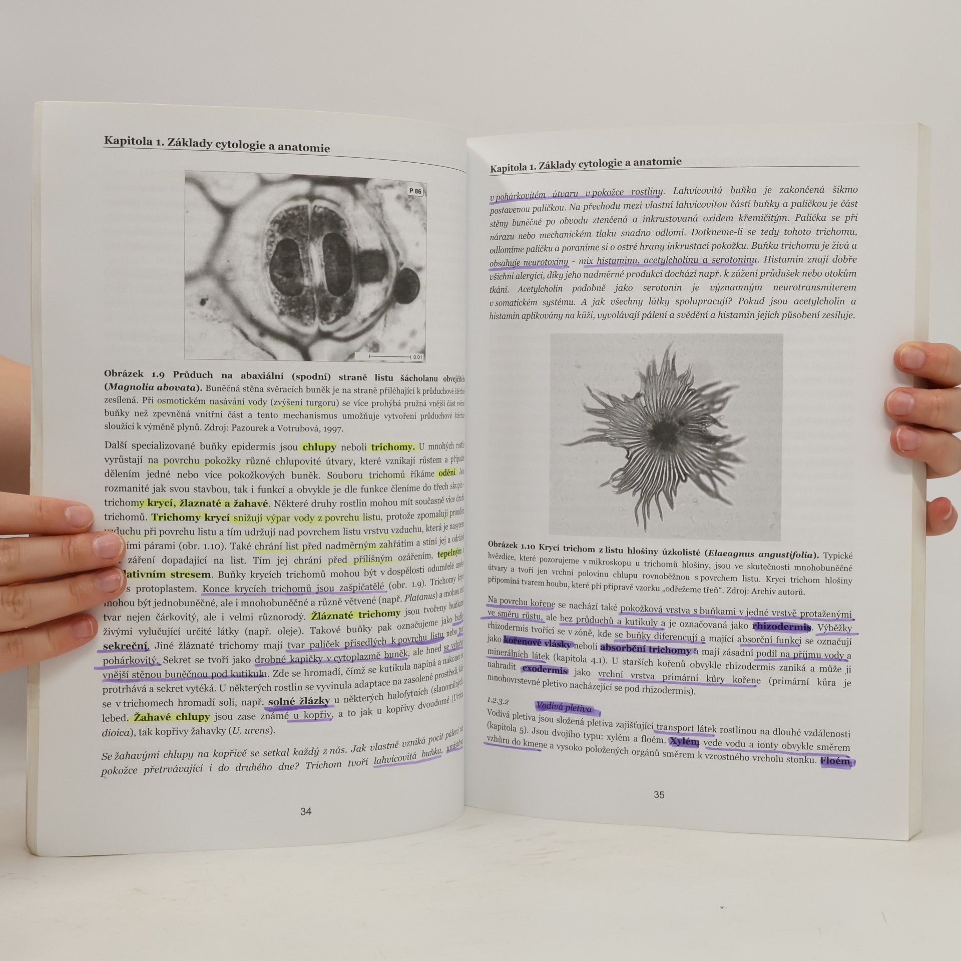 Ivana Tomášková Fyziologie lesních dřevin I. : fyziologie, produkce a stresy rostlin