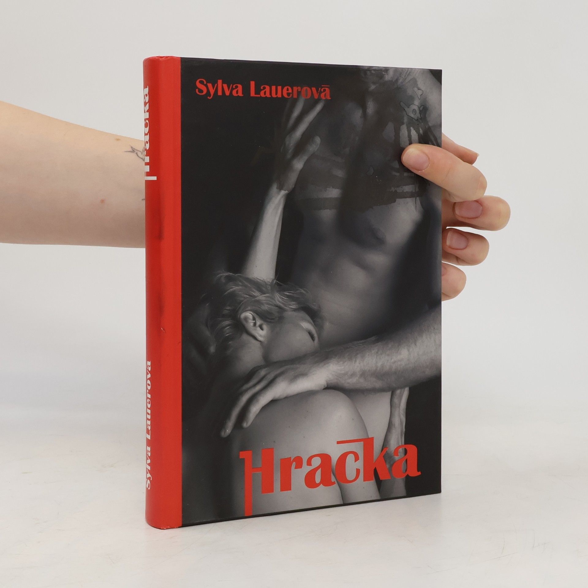 Sylva Lauerová Hračka