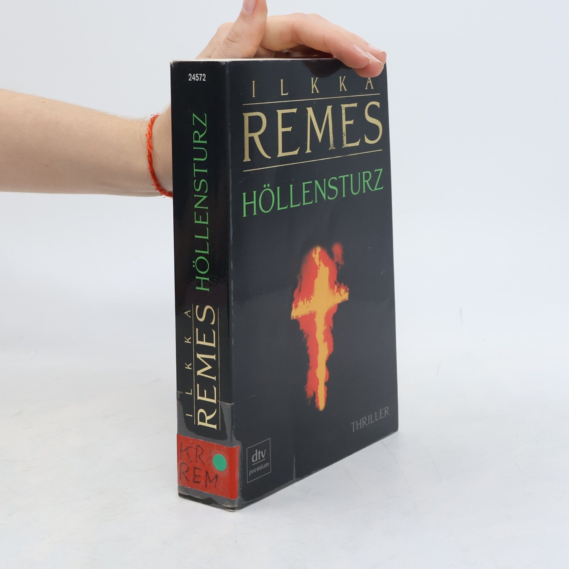Ilkka Remes Höllensturz