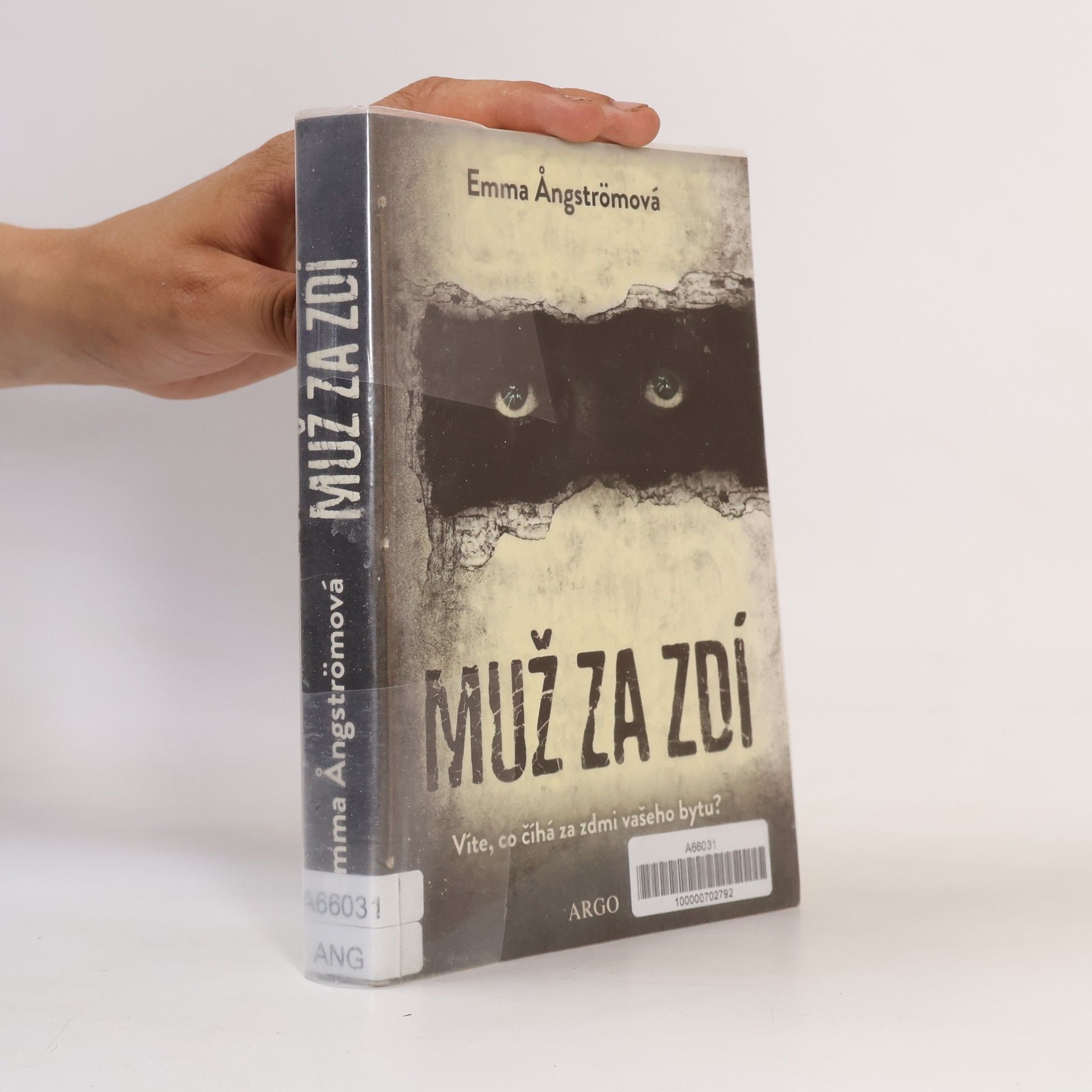 Emma Ångström Muž za zdí