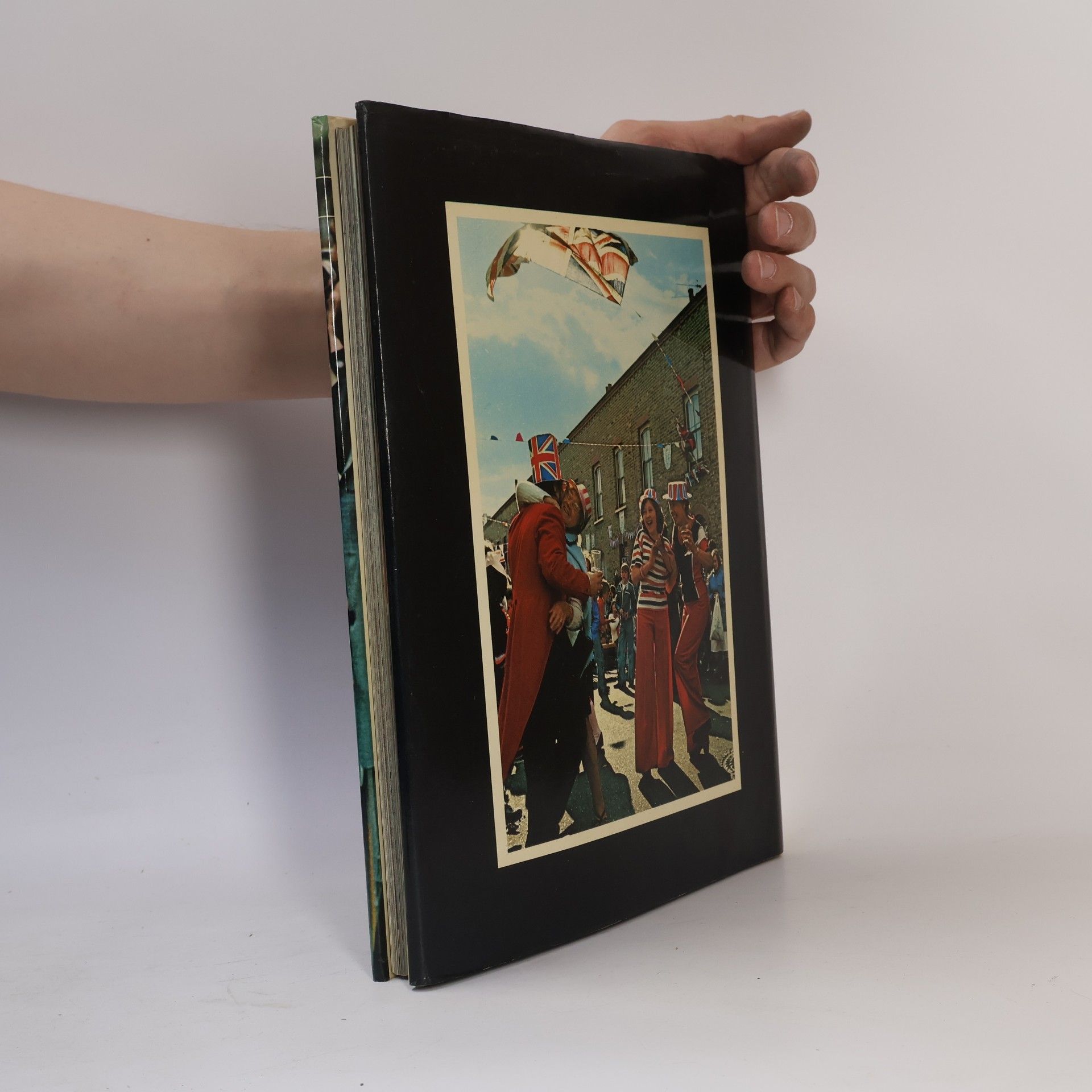 Hunter Davies The Sunday Times Book of Jubilee Year