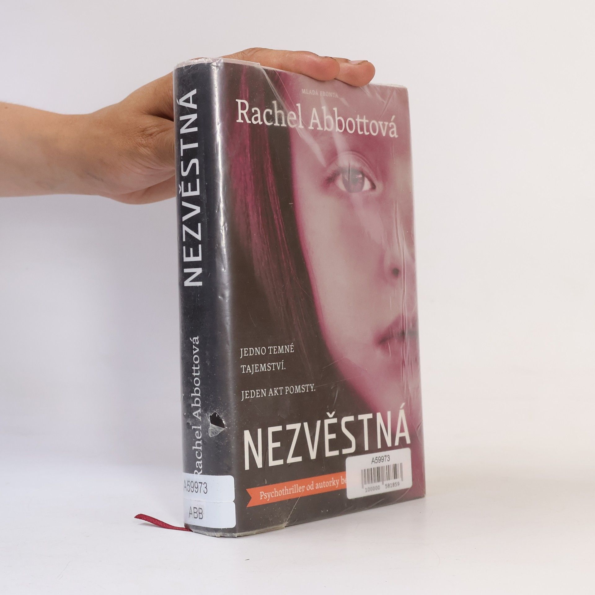 Rachel Abbott Nezvěstná