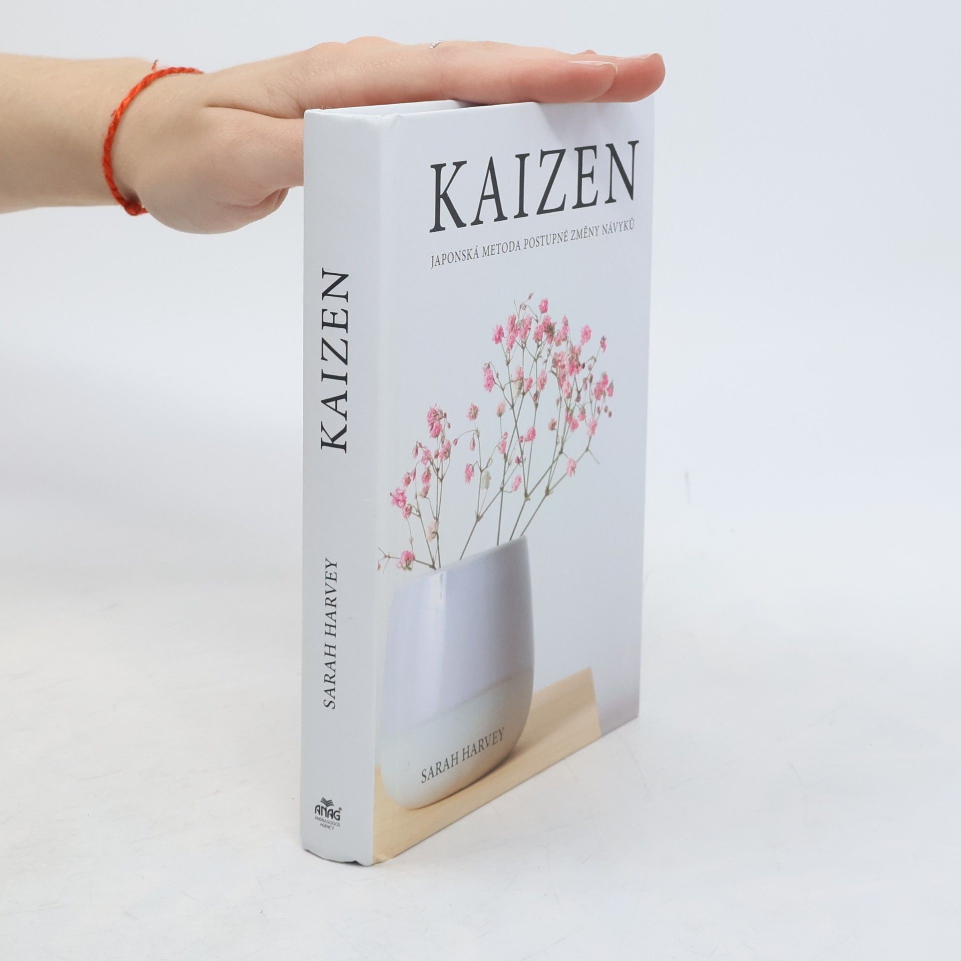 Sarah Harvey Kaizen: Japonská metoda postupné změny návyků
