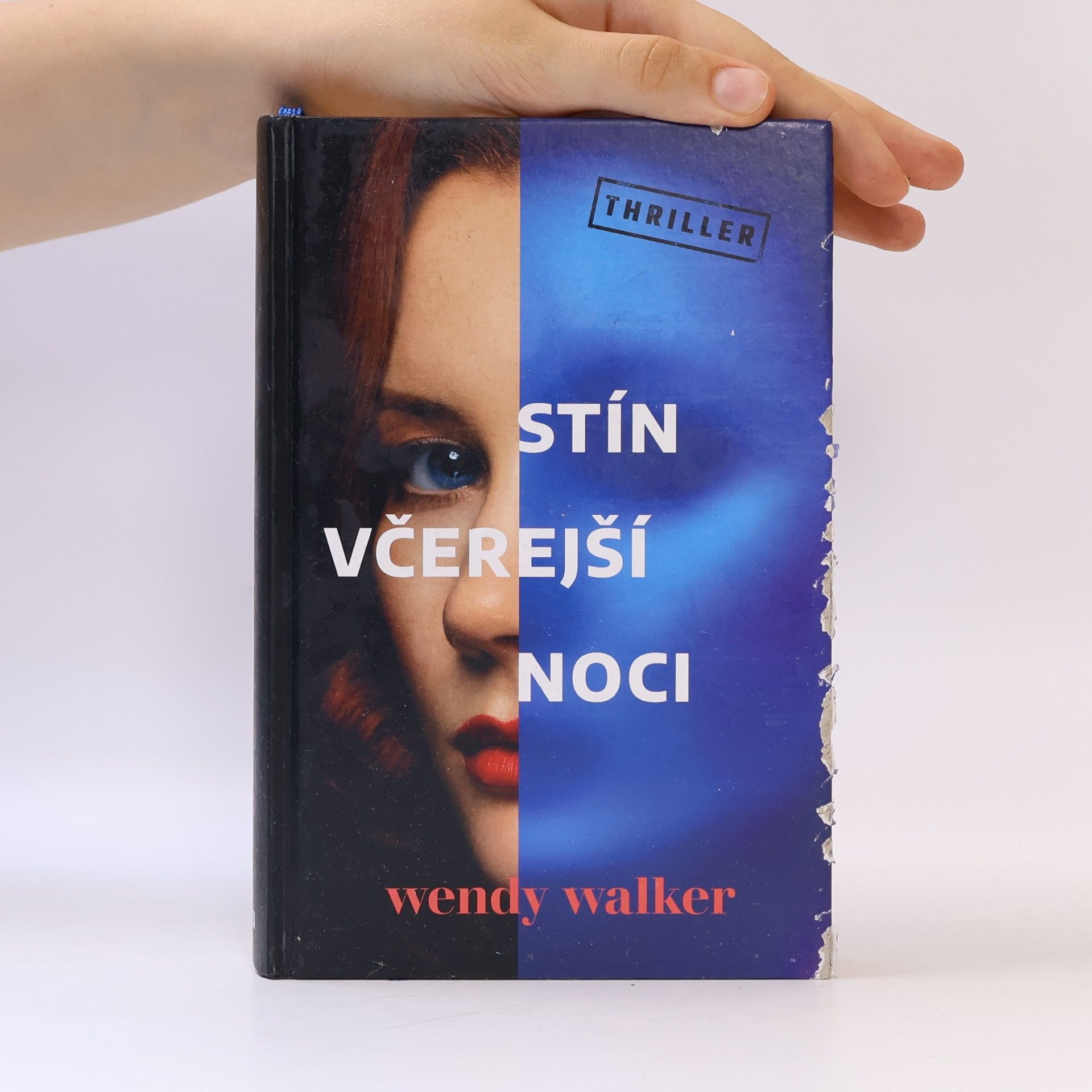 Wendy Walker Stín včerejší noci