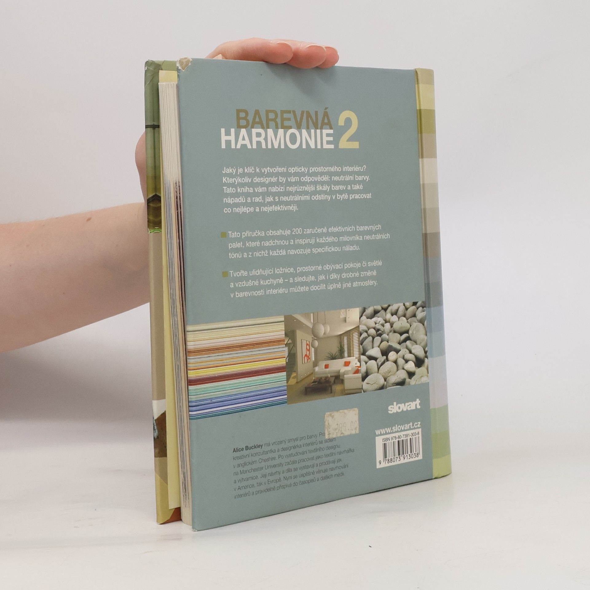 Alice Buckley Barevná harmonie 2