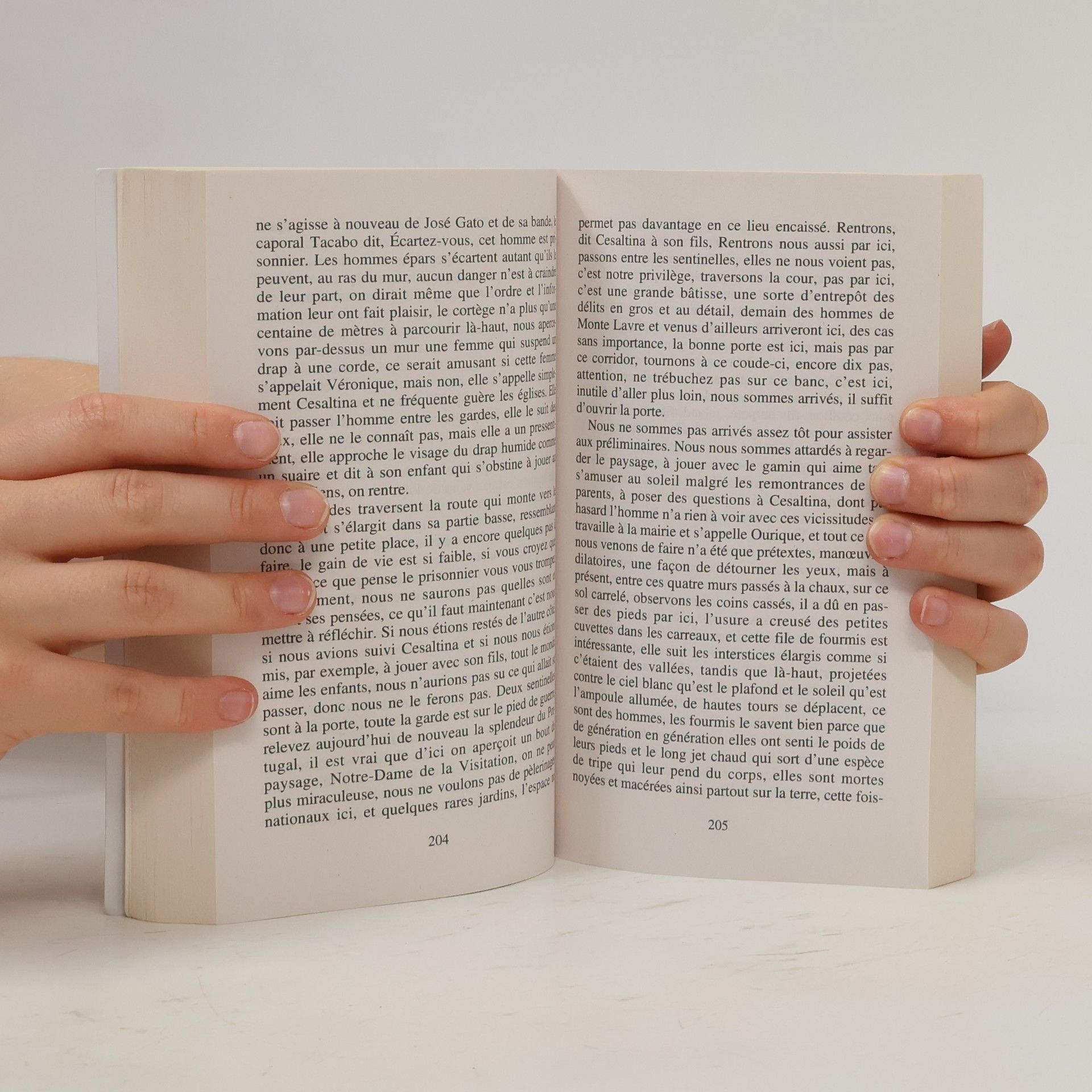 José Saramango Points grands romans: Relevé de terre