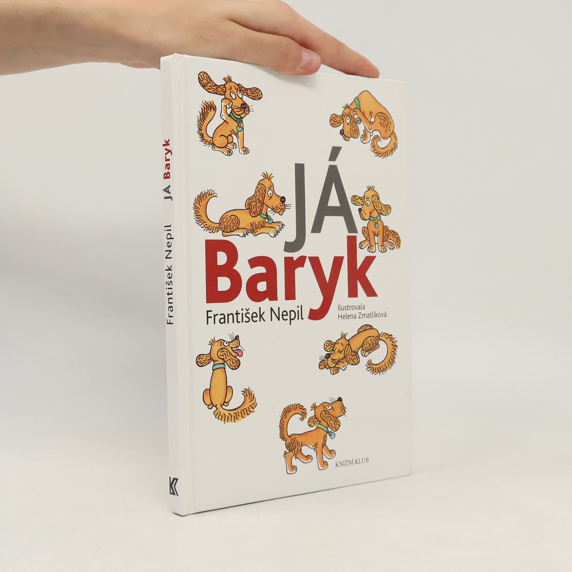 František Nepil Já, Baryk