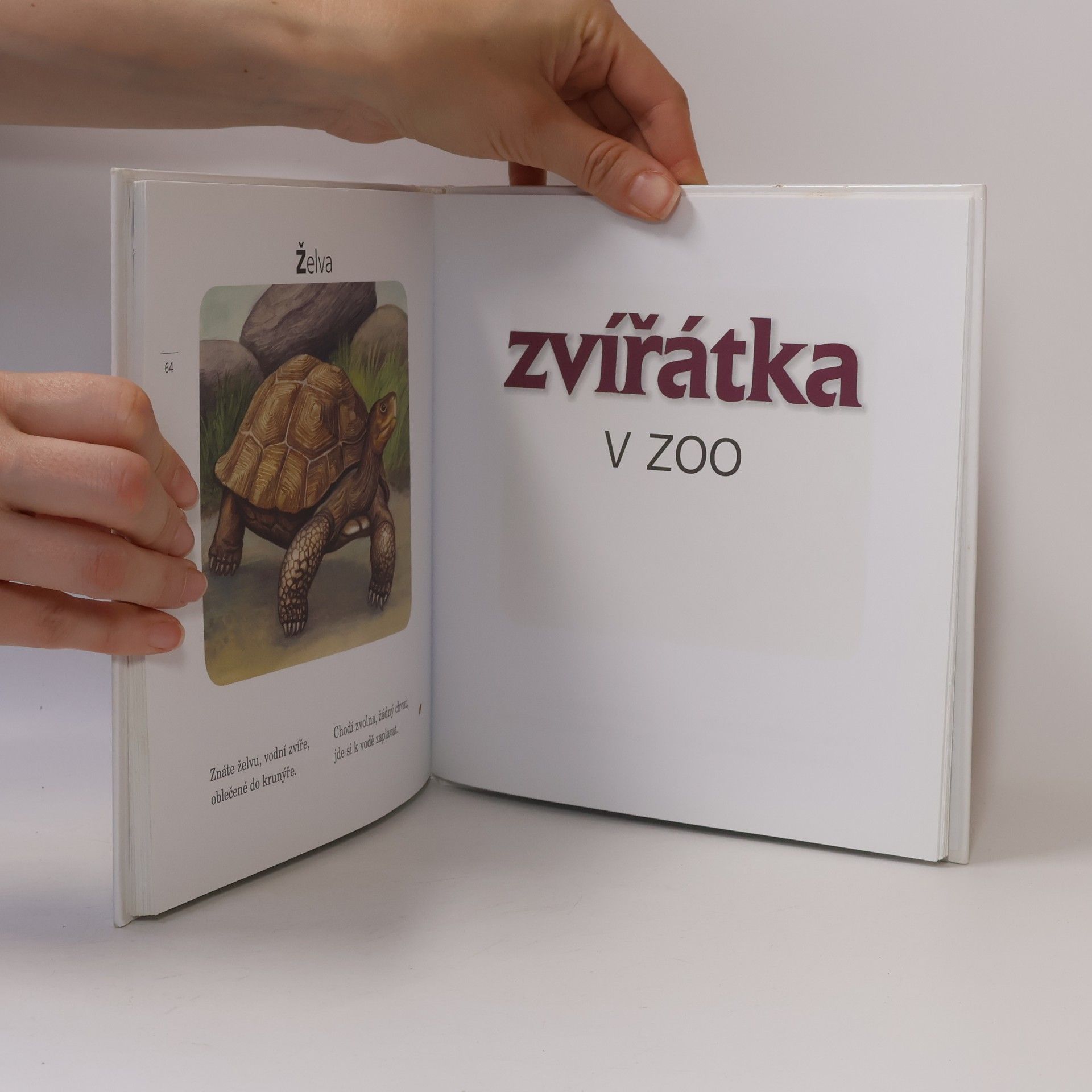 Jiří Žáček Kamarádi zvířátka