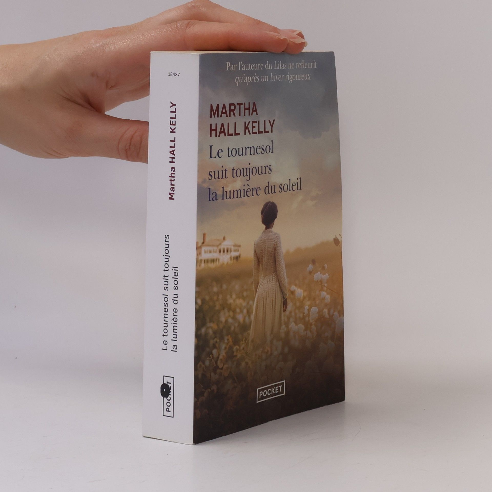 Martha Hall Kelly Le tournesol suit toujours la lumière du soleil