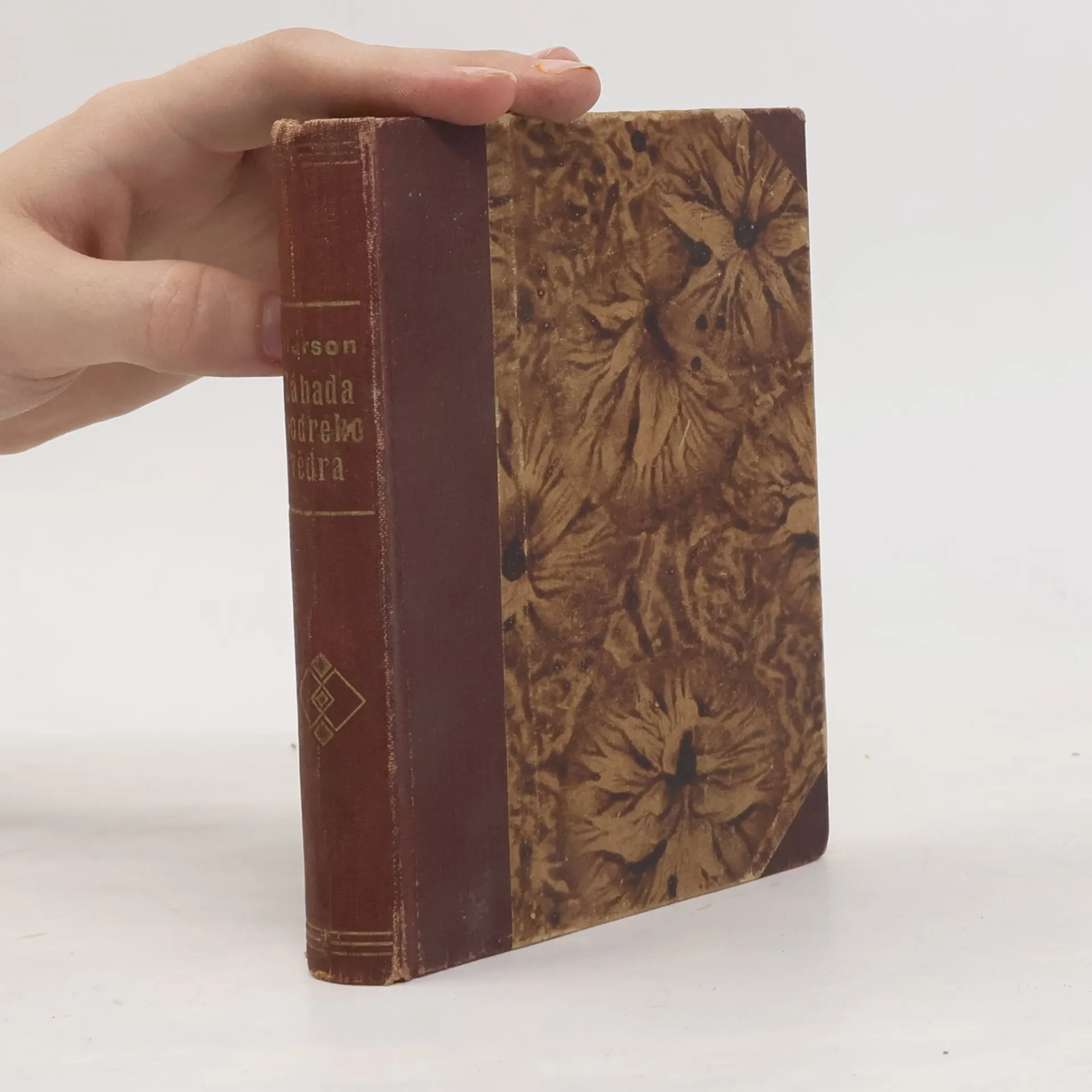 Záhada modrého vědra | Antonín Jasura | Tsjechisch | Boek