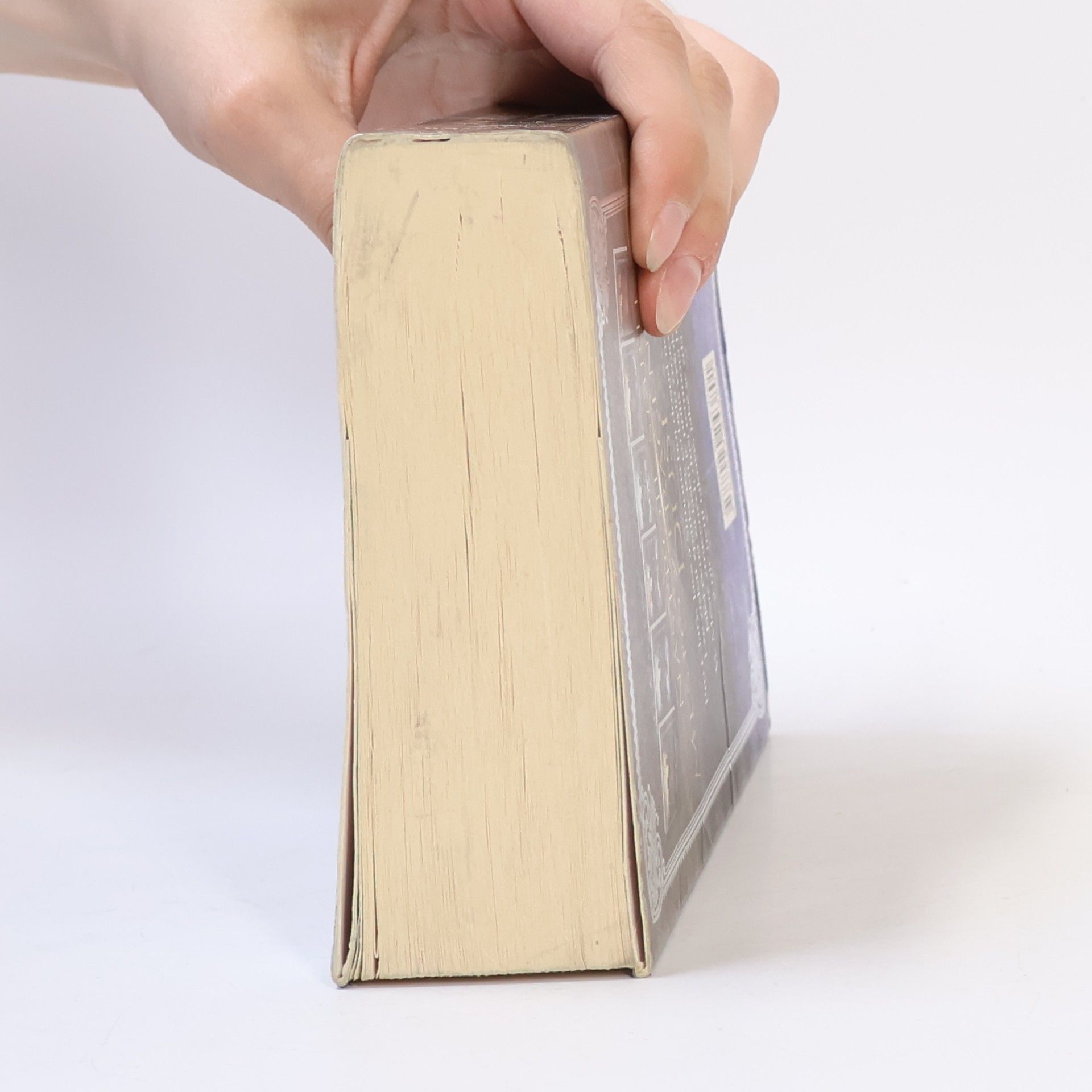 Cassandra Clare Nástroje smtri 5: Město ztracených duší