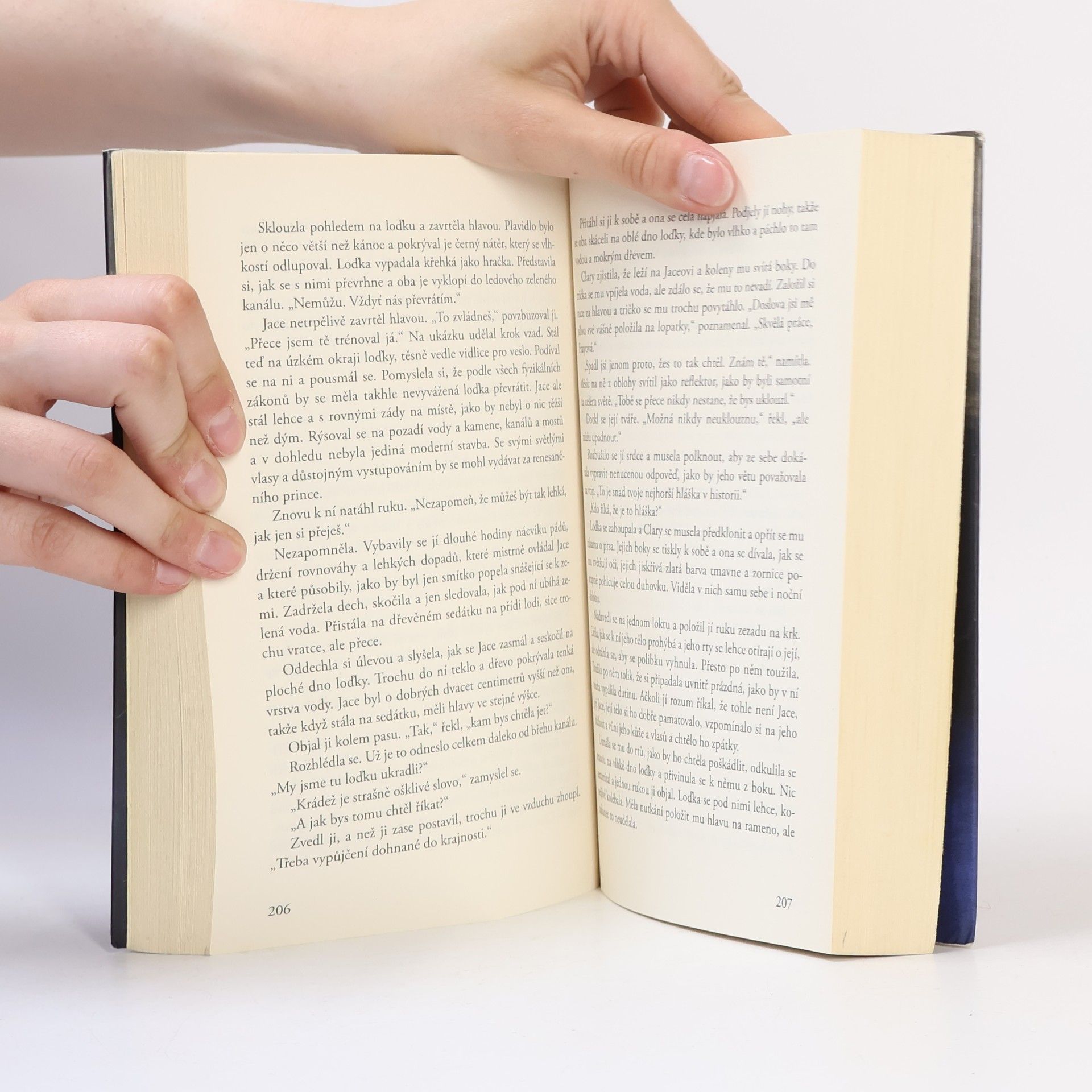 Cassandra Clare Nástroje smtri 5: Město ztracených duší