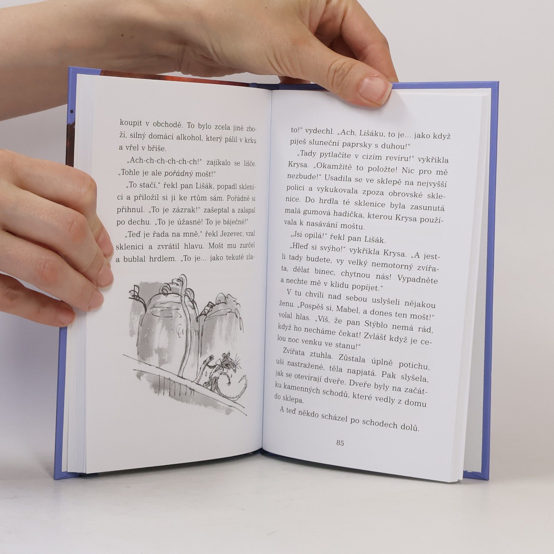 Roald Dahl Fantastický pan Lišák