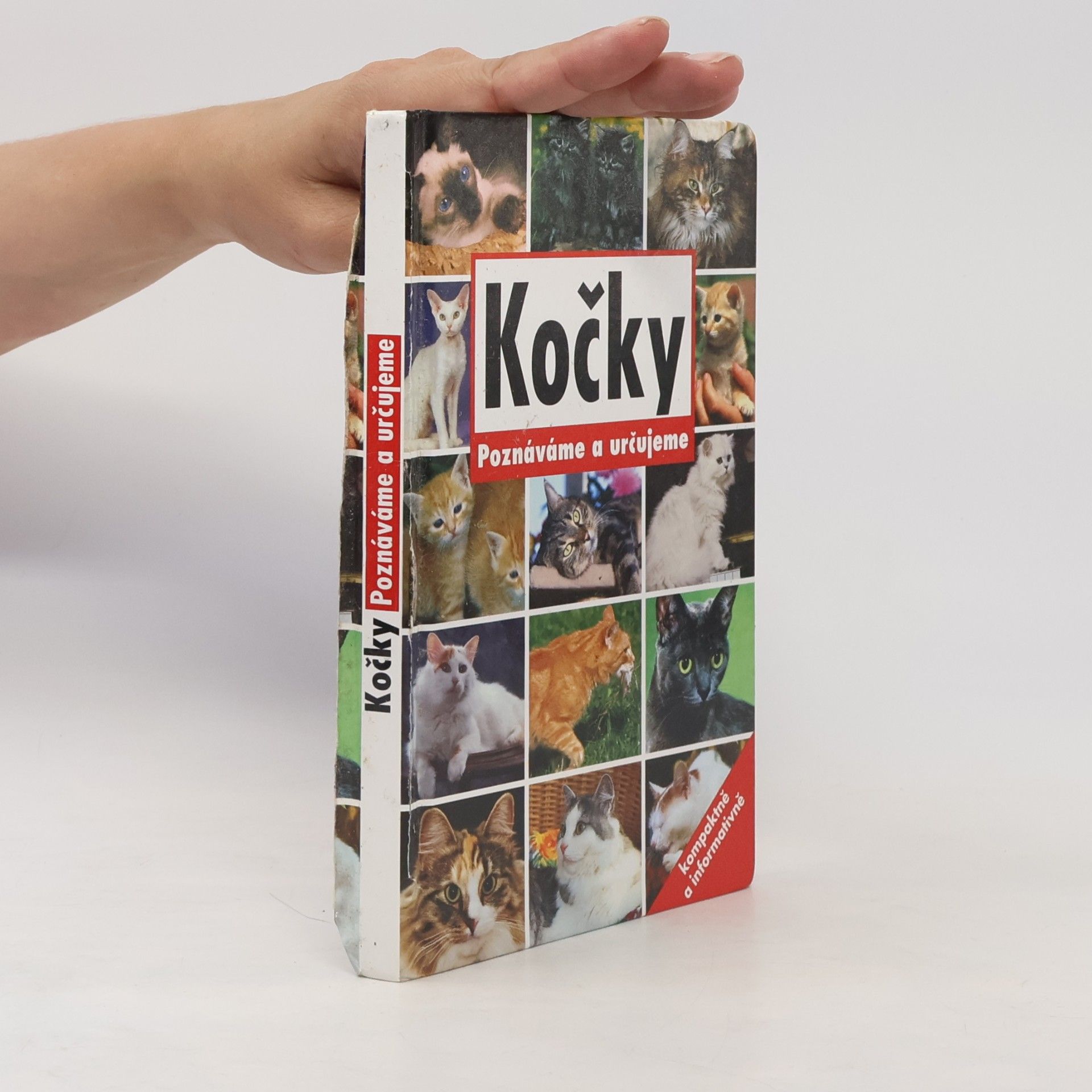 nezn. Kočky: Poznáváme a určujeme