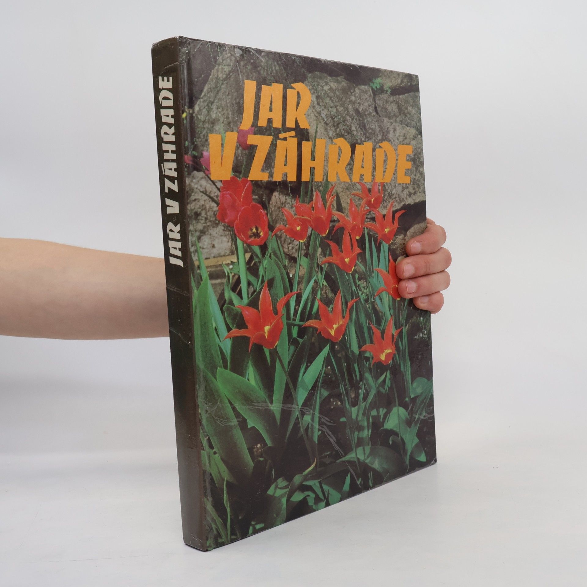 Autorenkollektiv Jar v záhrade