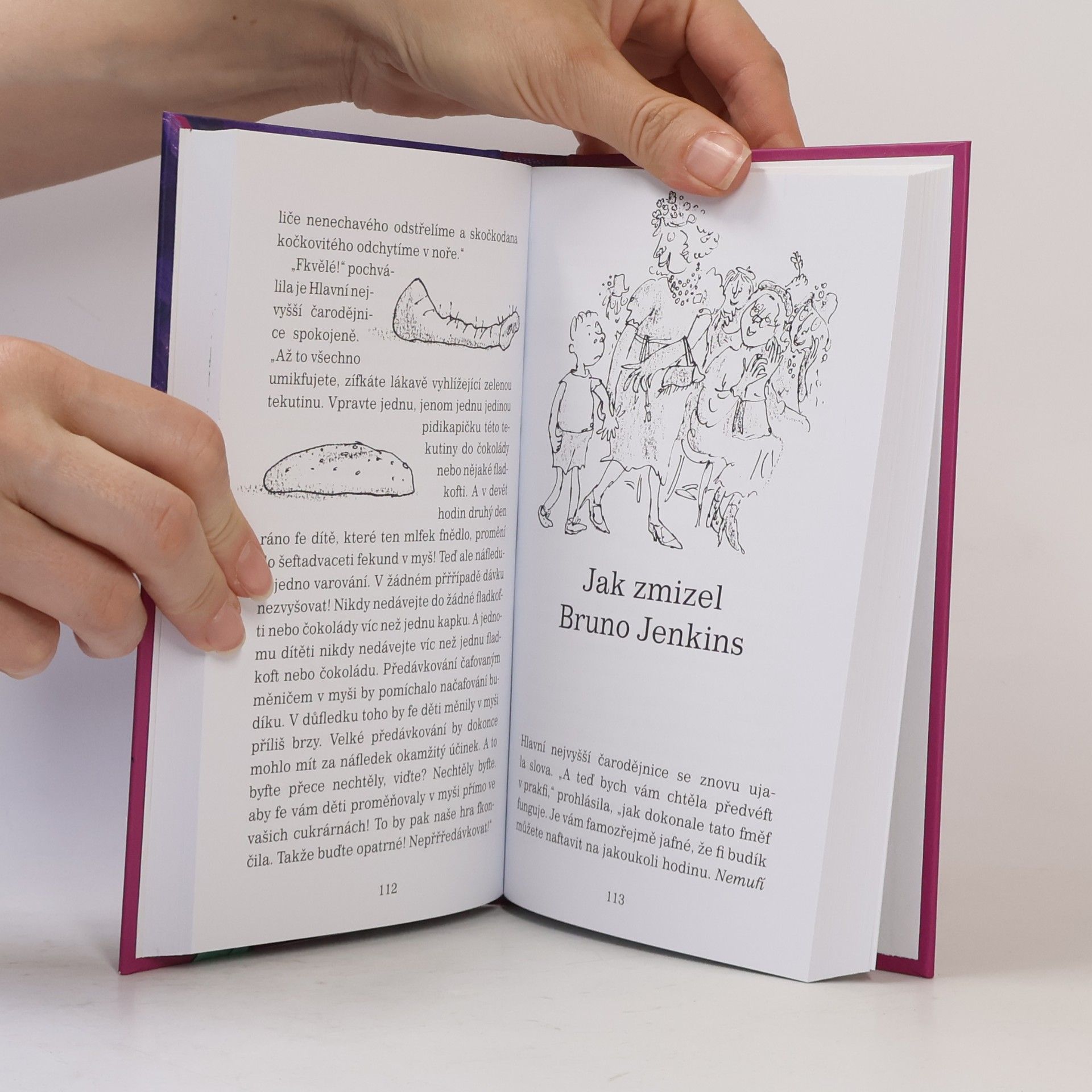 Roald Dahl Čarodějnice