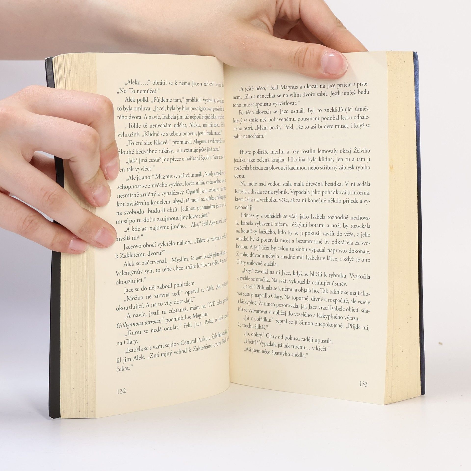 Cassandra Clare Nástroje smrti 2: Město z popela