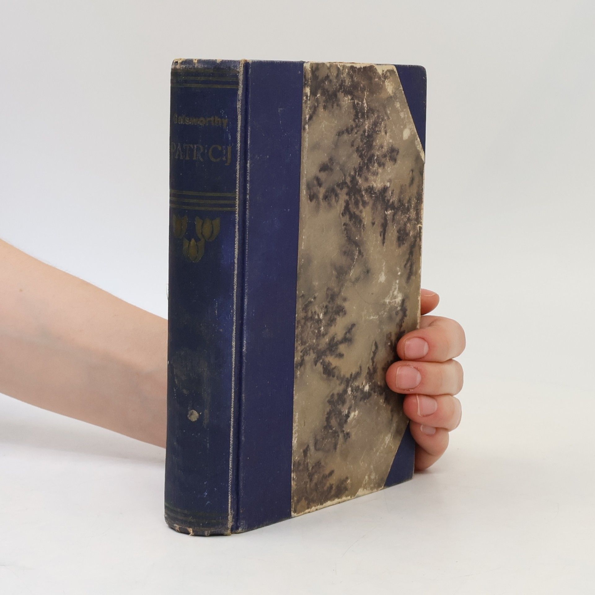 John Galsworthy Patricij