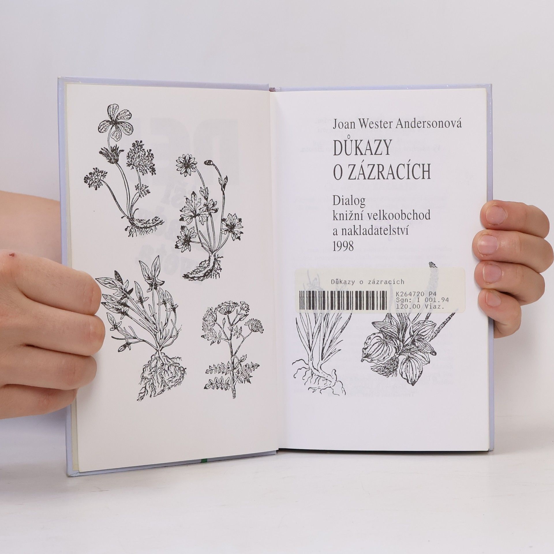 Joan Wester Anderson Největší záhady světa. Důkazy o zázracích