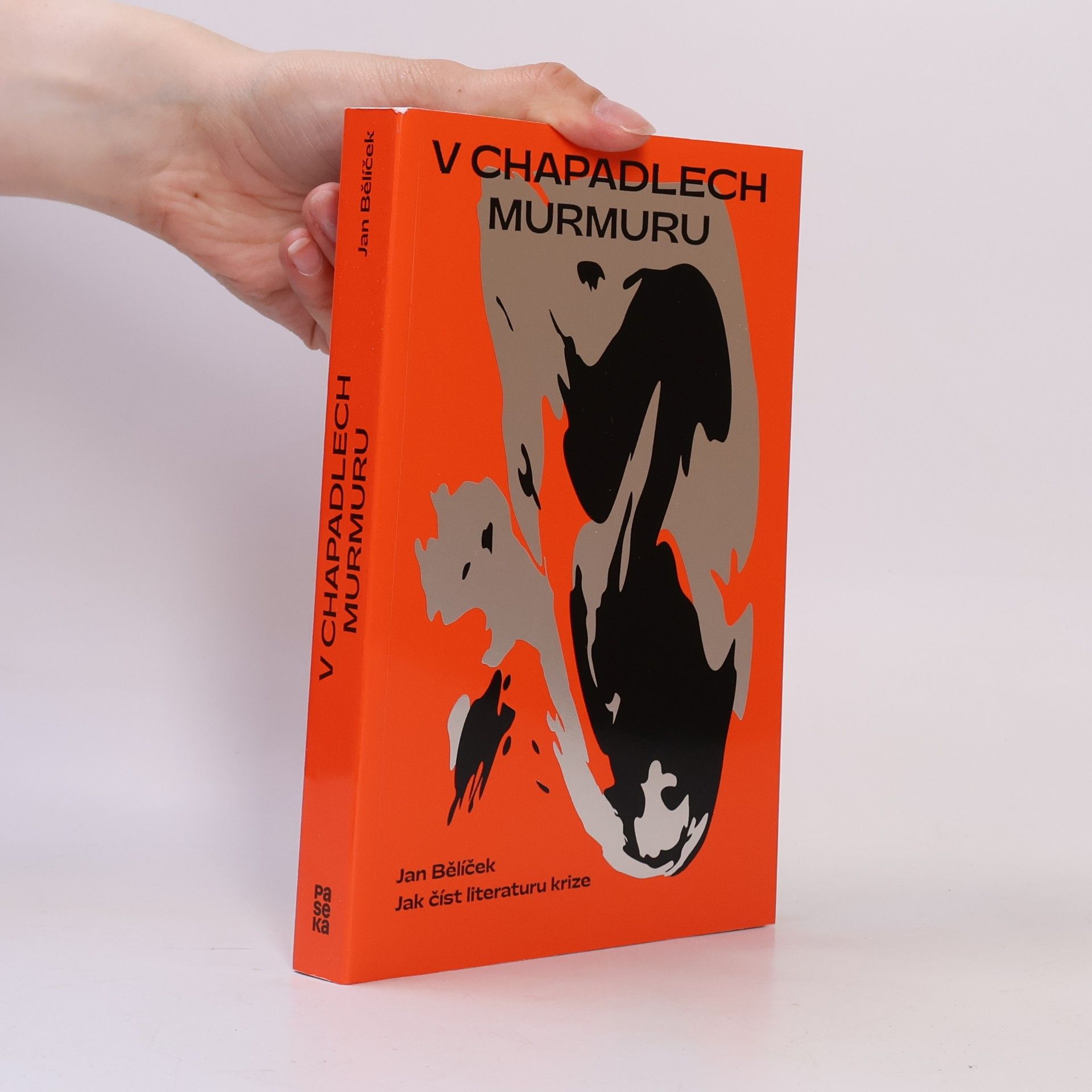 Jan Bělíček V chapadlech murmuru : jak číst literaturu krize