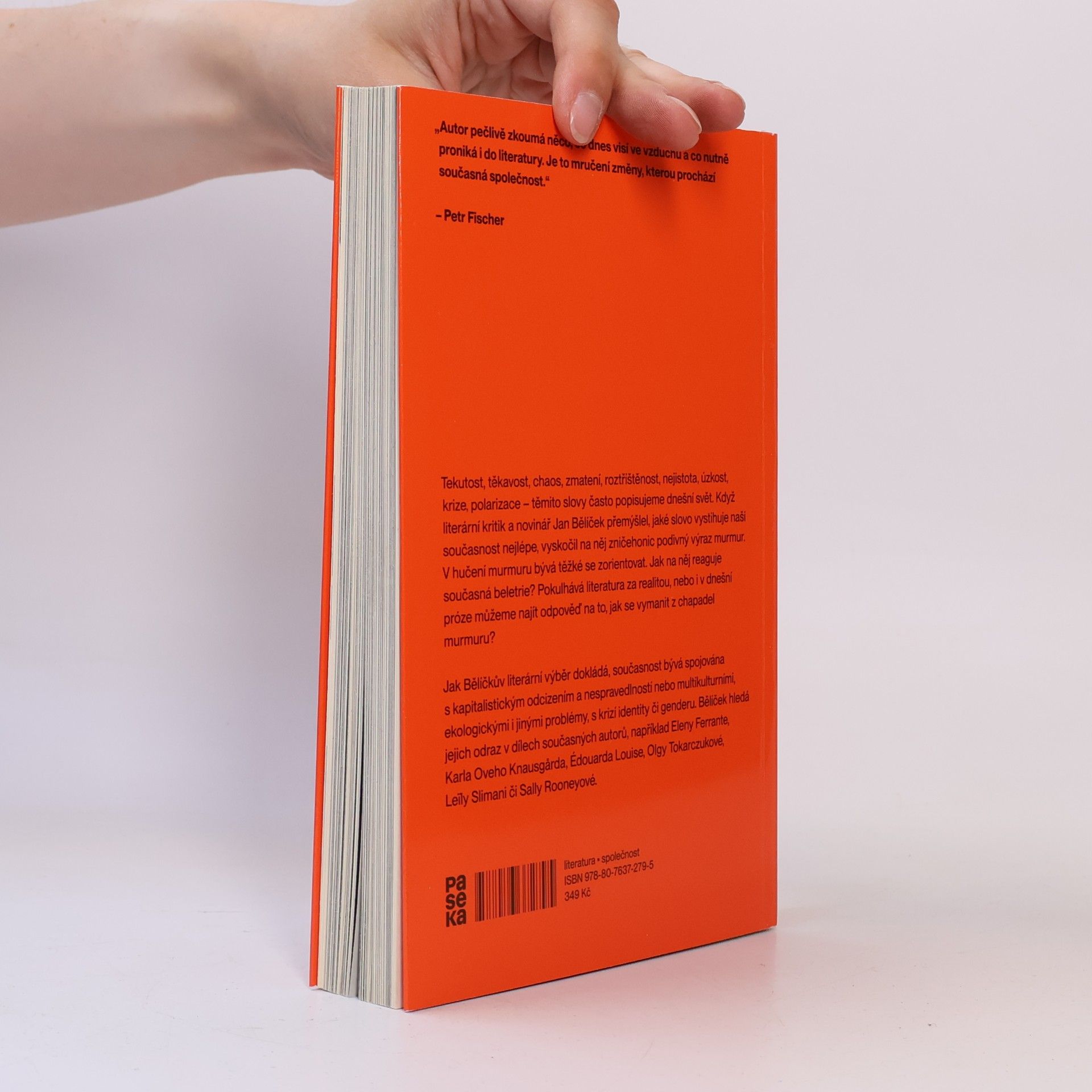 Jan Bělíček V chapadlech murmuru : jak číst literaturu krize