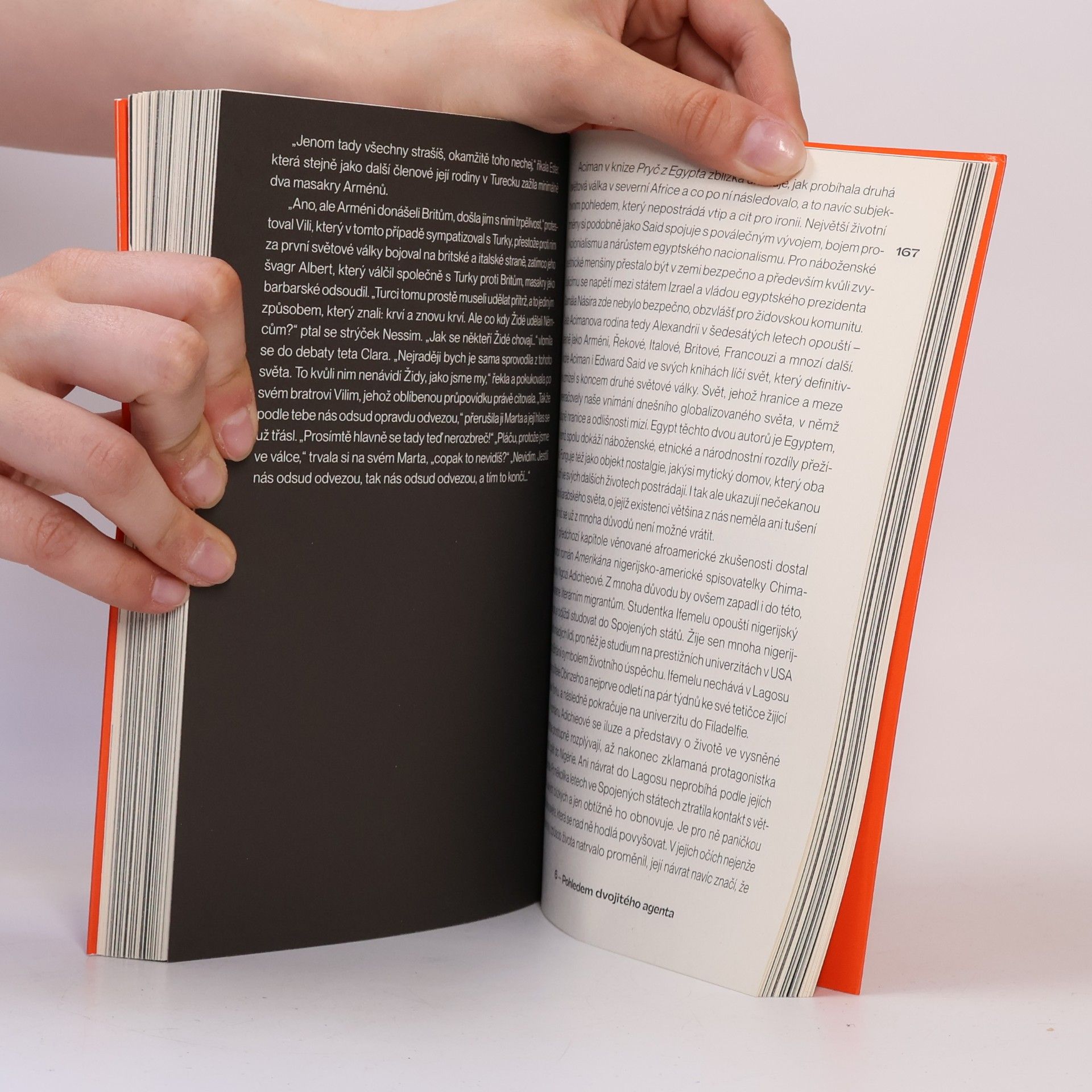 Jan Bělíček V chapadlech murmuru : jak číst literaturu krize