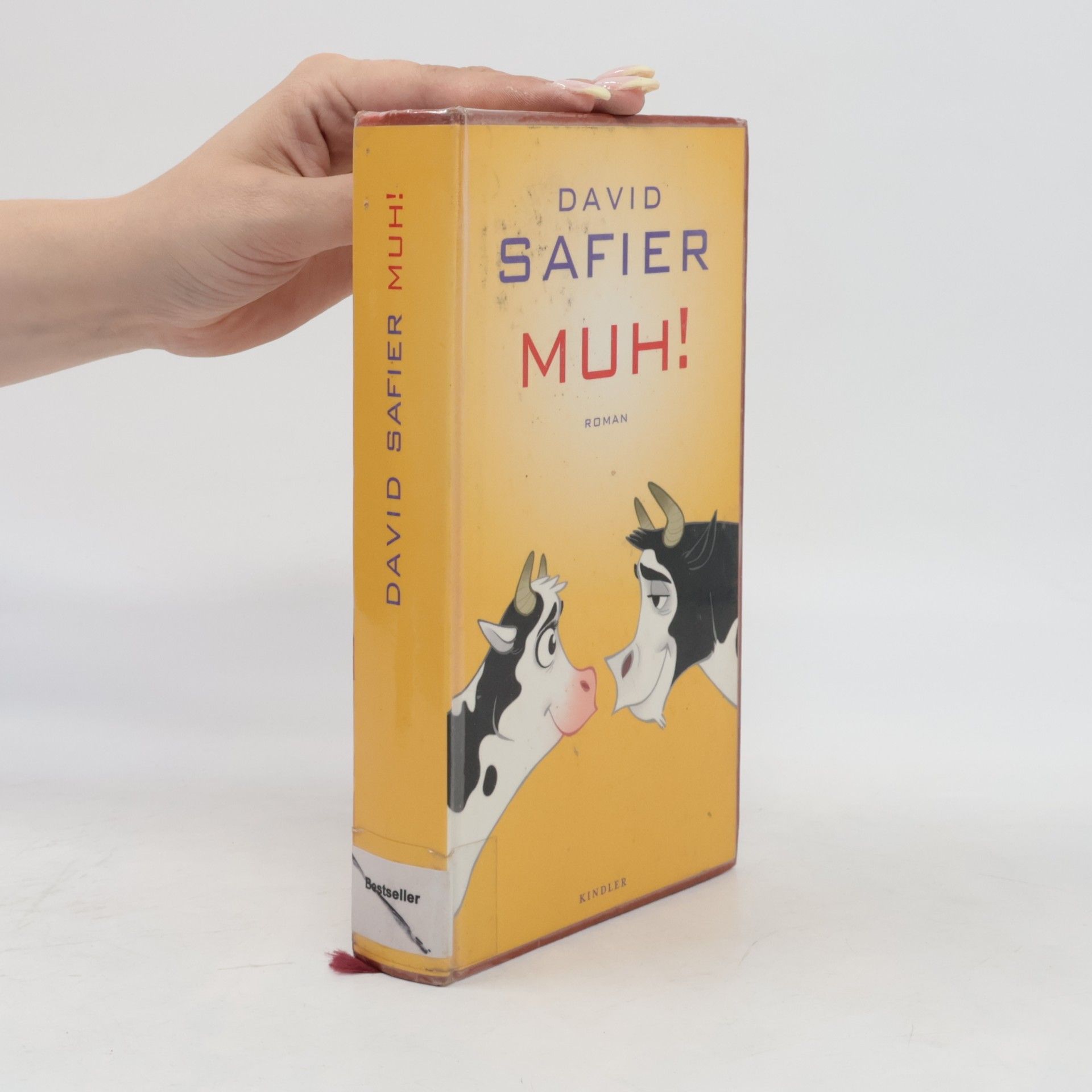David Safier Muh!
