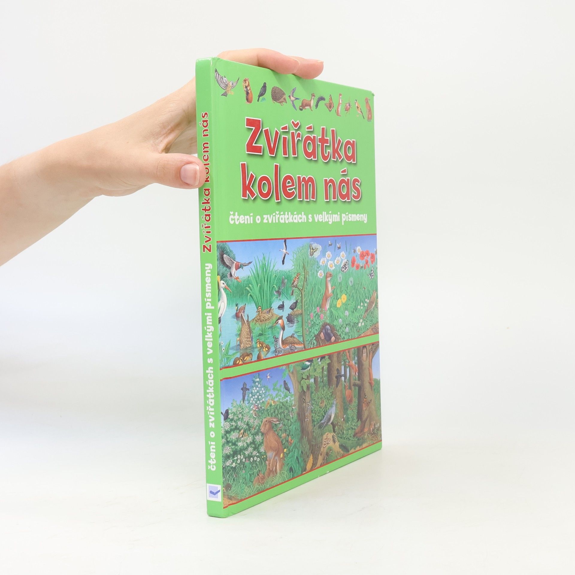 Autorenkollektiv Zvířátka kolem nás : čtení o zvířátkách s velkými písmeny