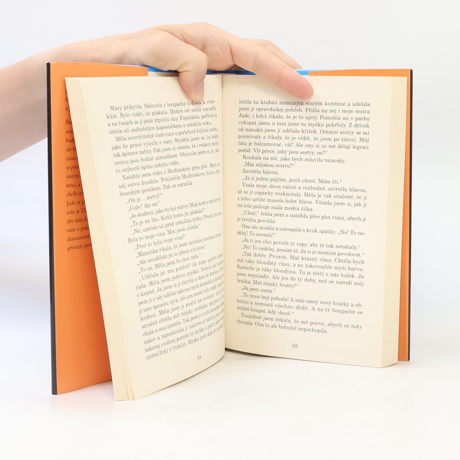 Jacqueline Wilson Diamantové holky