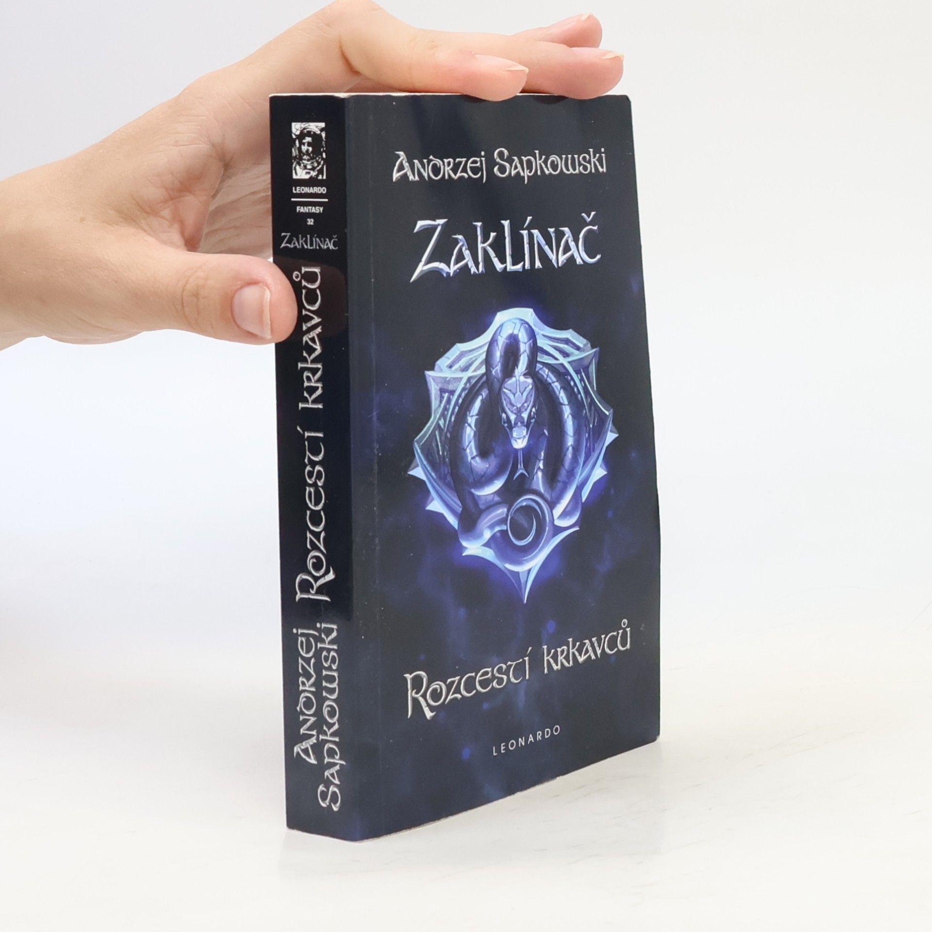 Zaklínač IX. Rozcestí krkavců