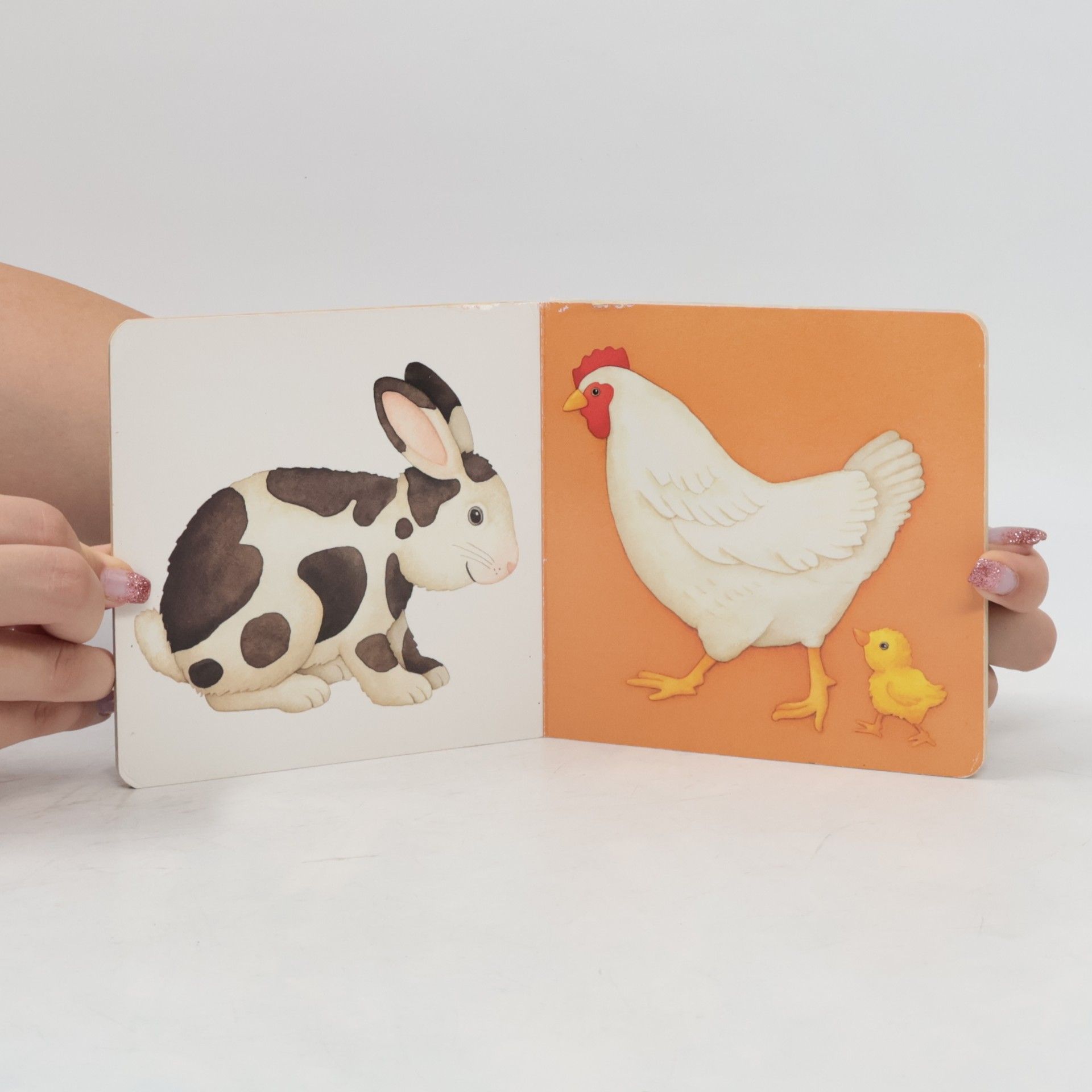 Monika Neubacher Fesser Mein erstes Tierbuch