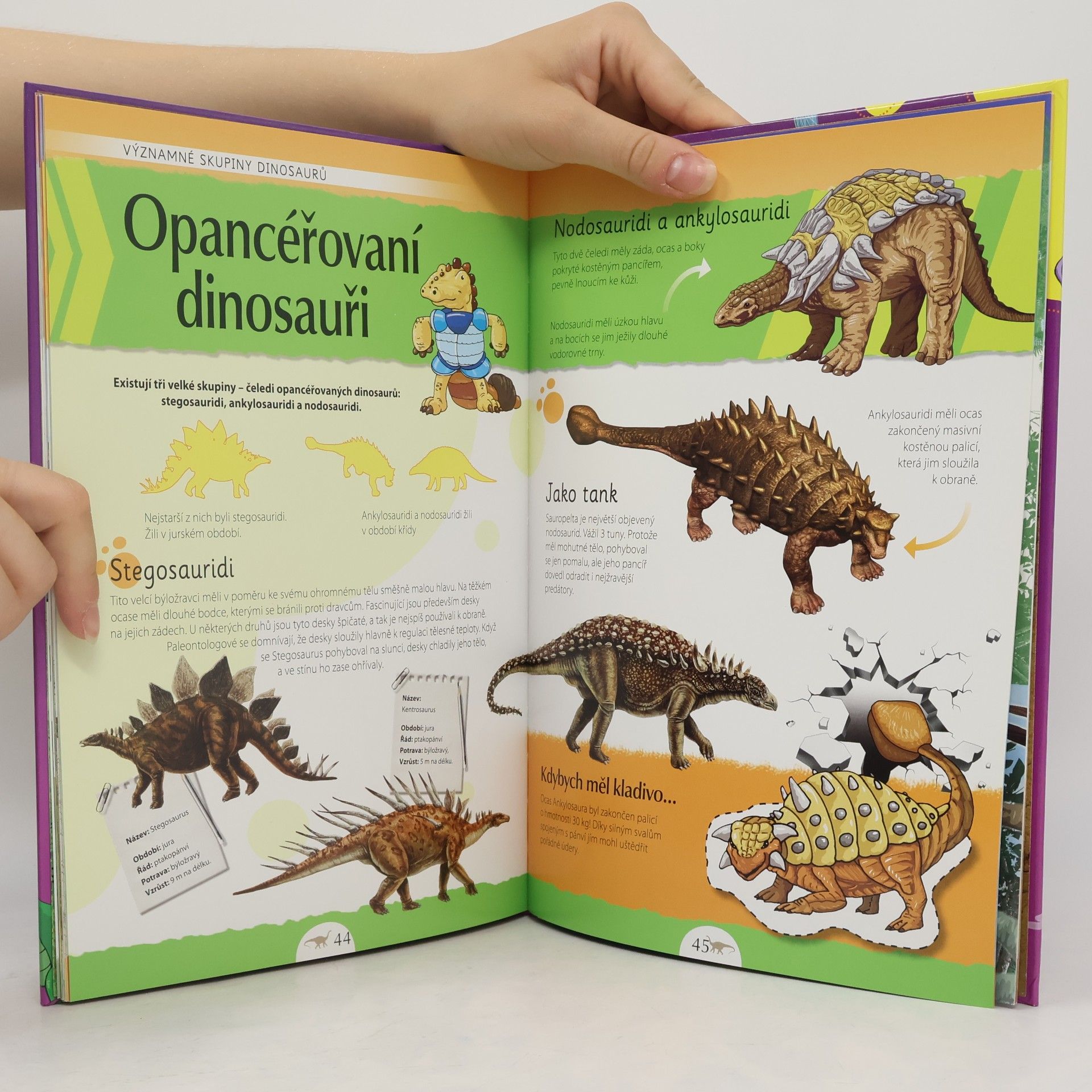 Autorenkollektiv Poznáváme dinosaury