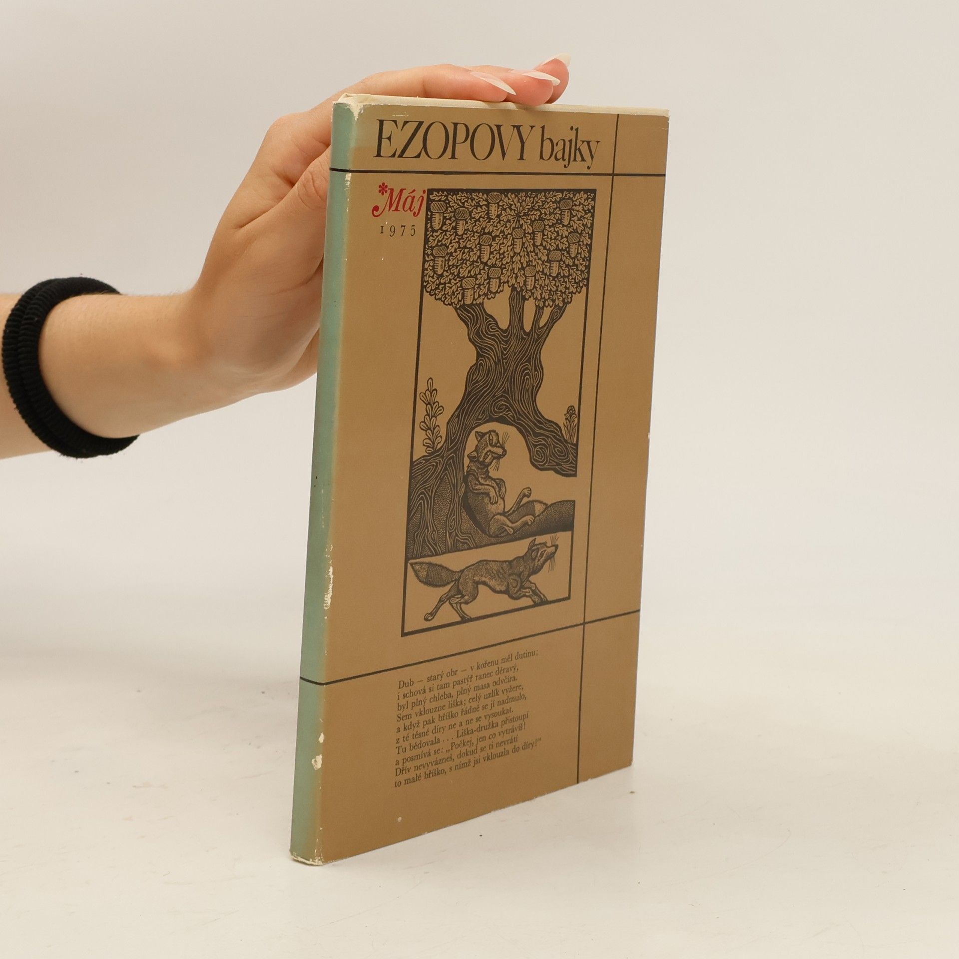 Collectif d'auteurs Ezopovy bajky