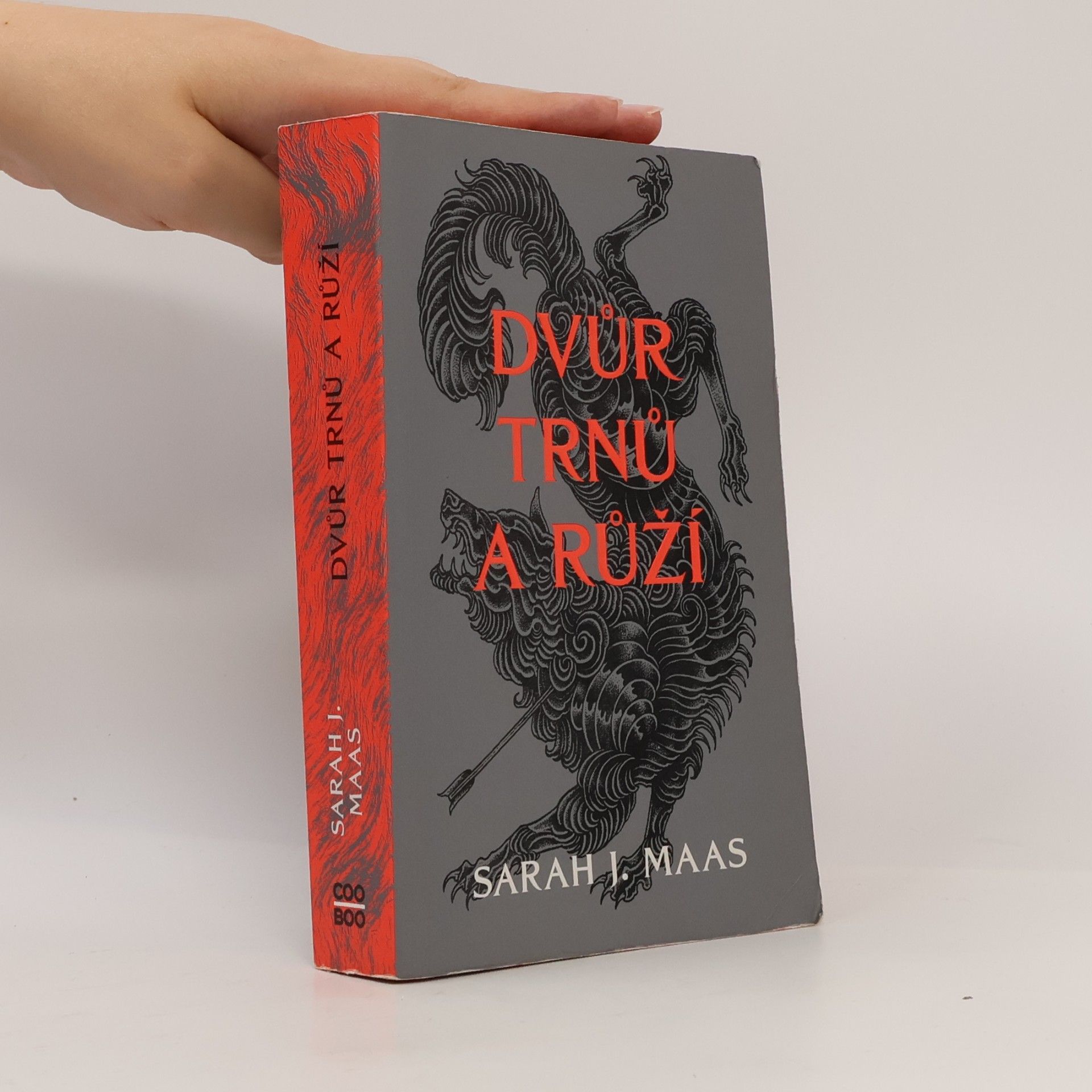 Sarah J. Maas Dvůr trnů a růží