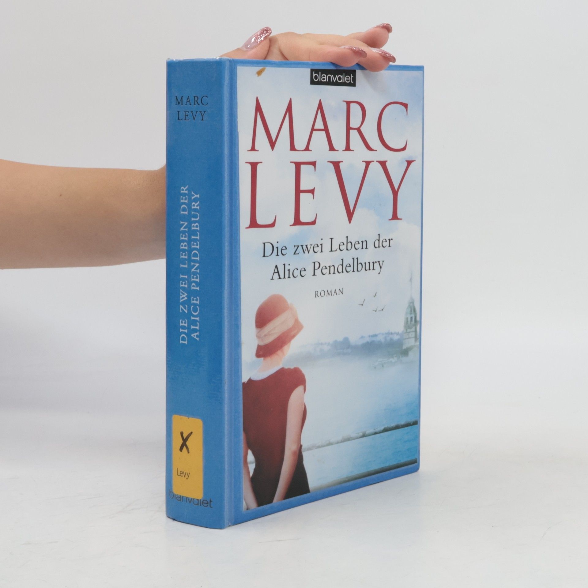 Marc Levy Die zwei Leben der Alice Pendelbury