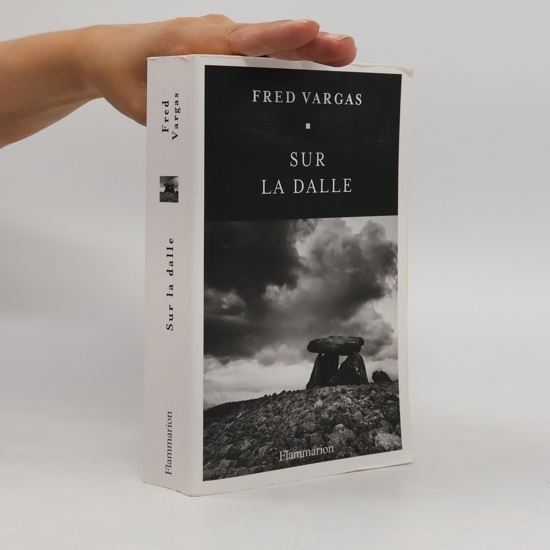 Fred Vargas Sur la dalle