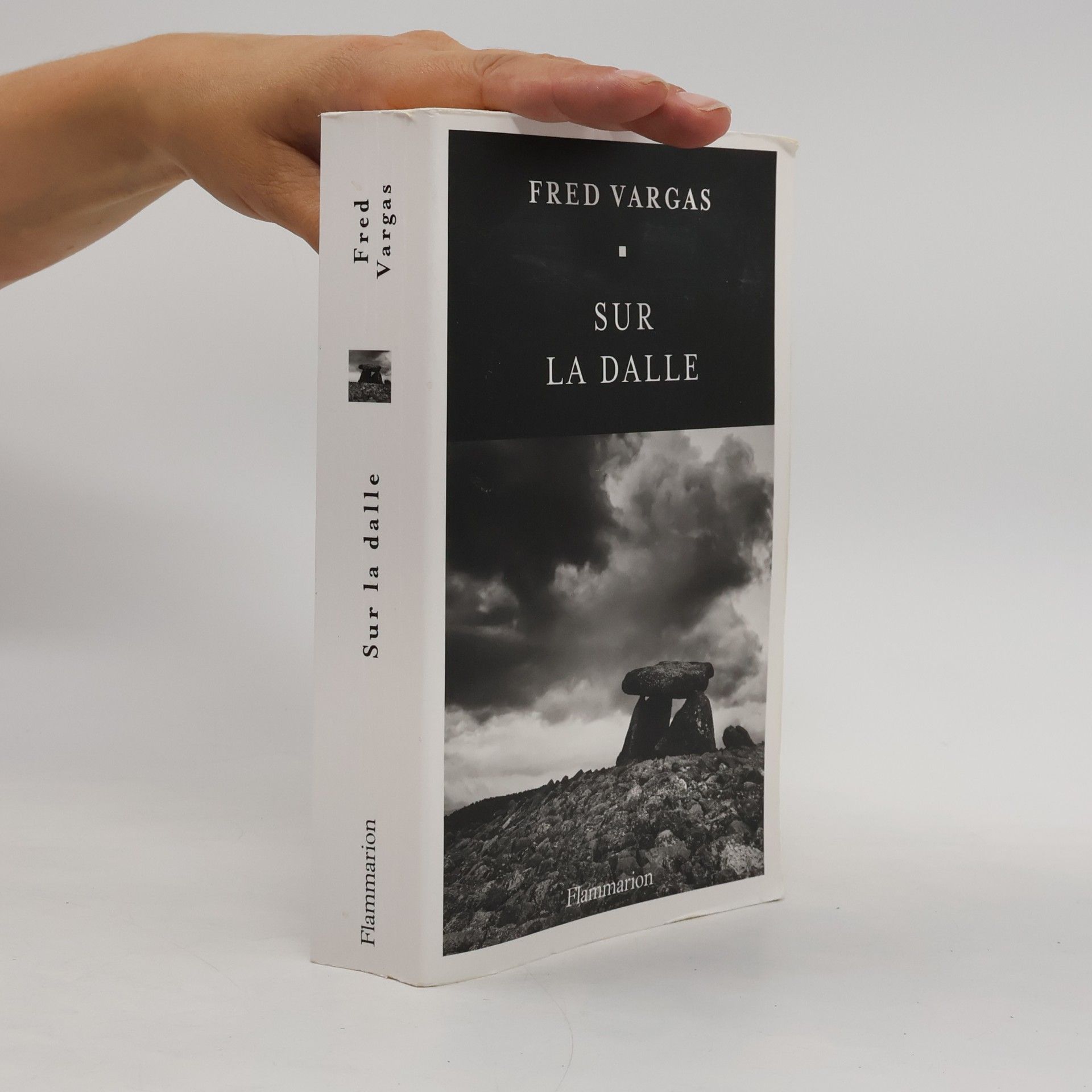Fred Vargas Sur la dalle