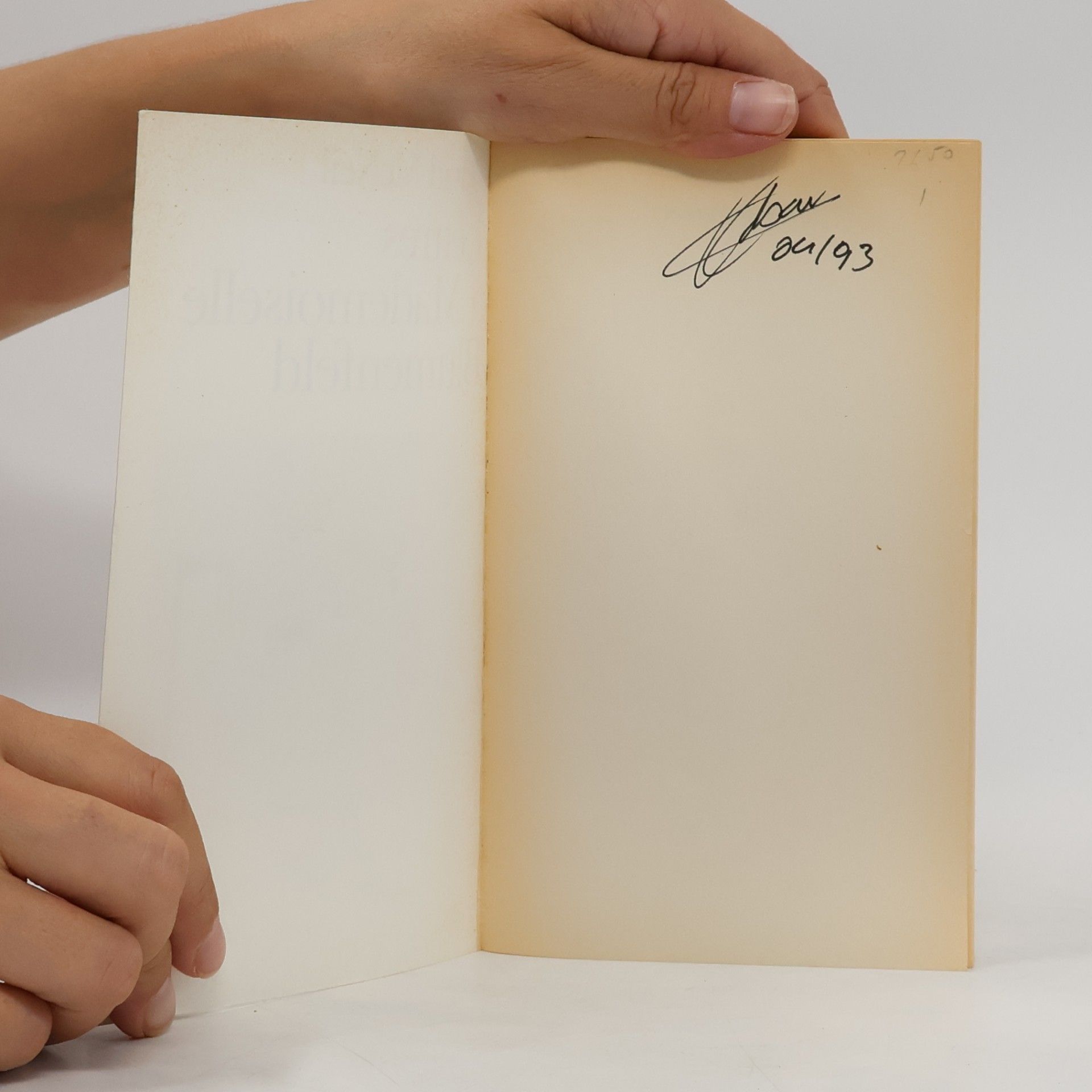 David McNeil Lettres à Mademoiselle Blumenfeld