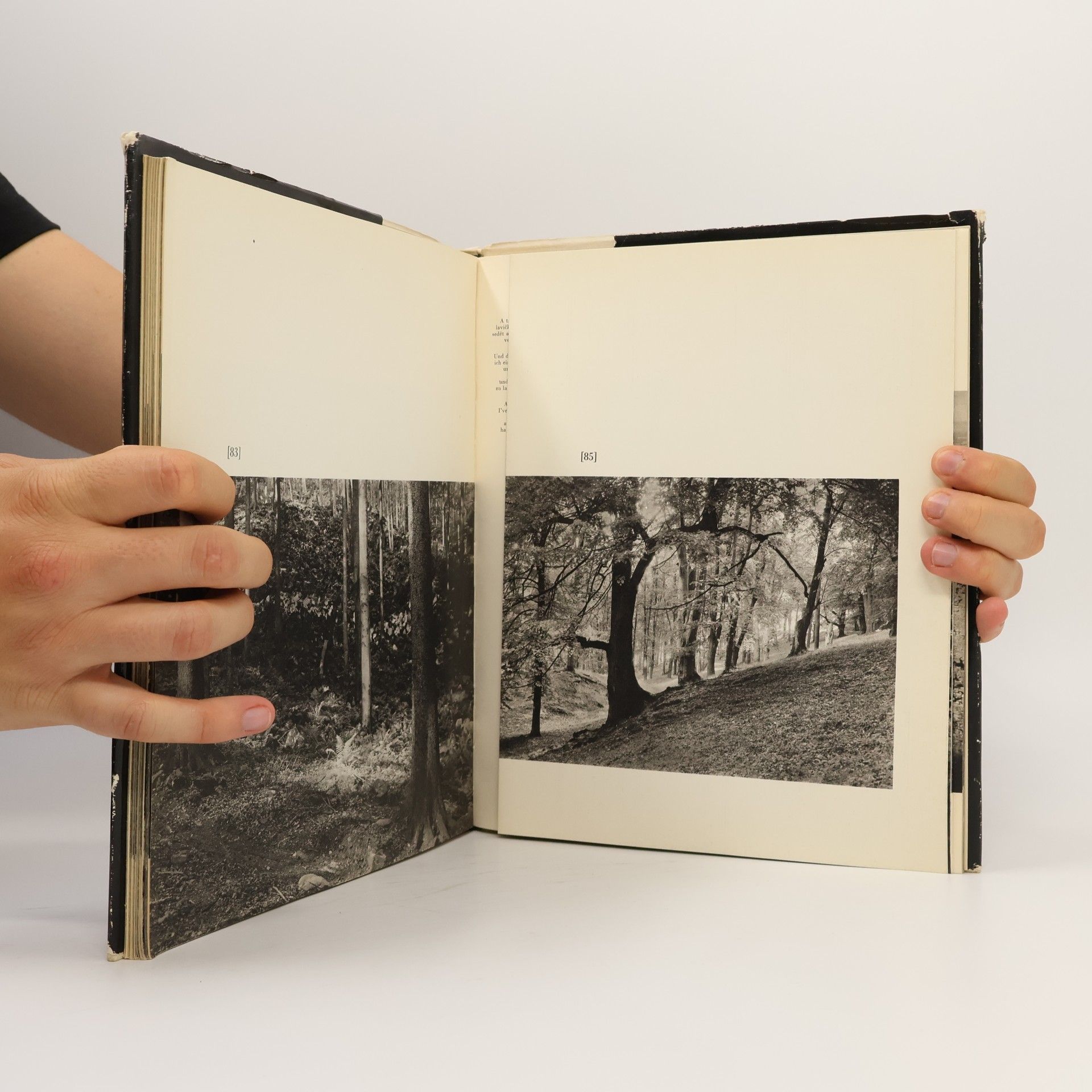 Josef Sudek Janáček - Hukvaldy
