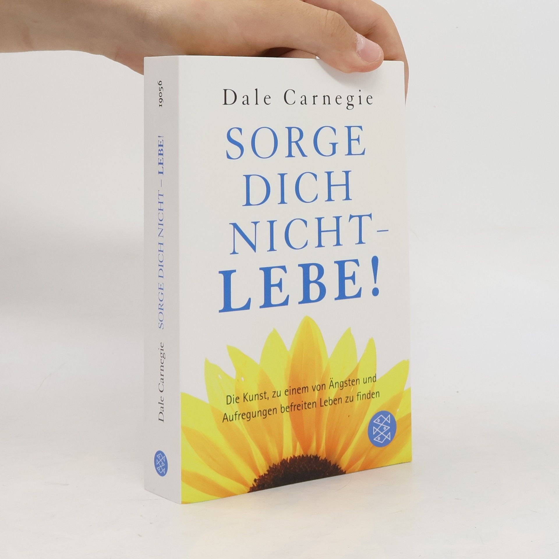 Dale Carnegie Sorge dich nicht - lebe!