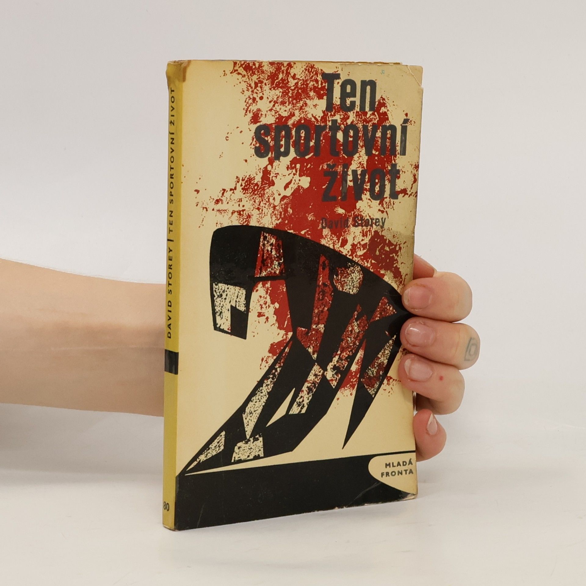 David Storey Ten sportovní život