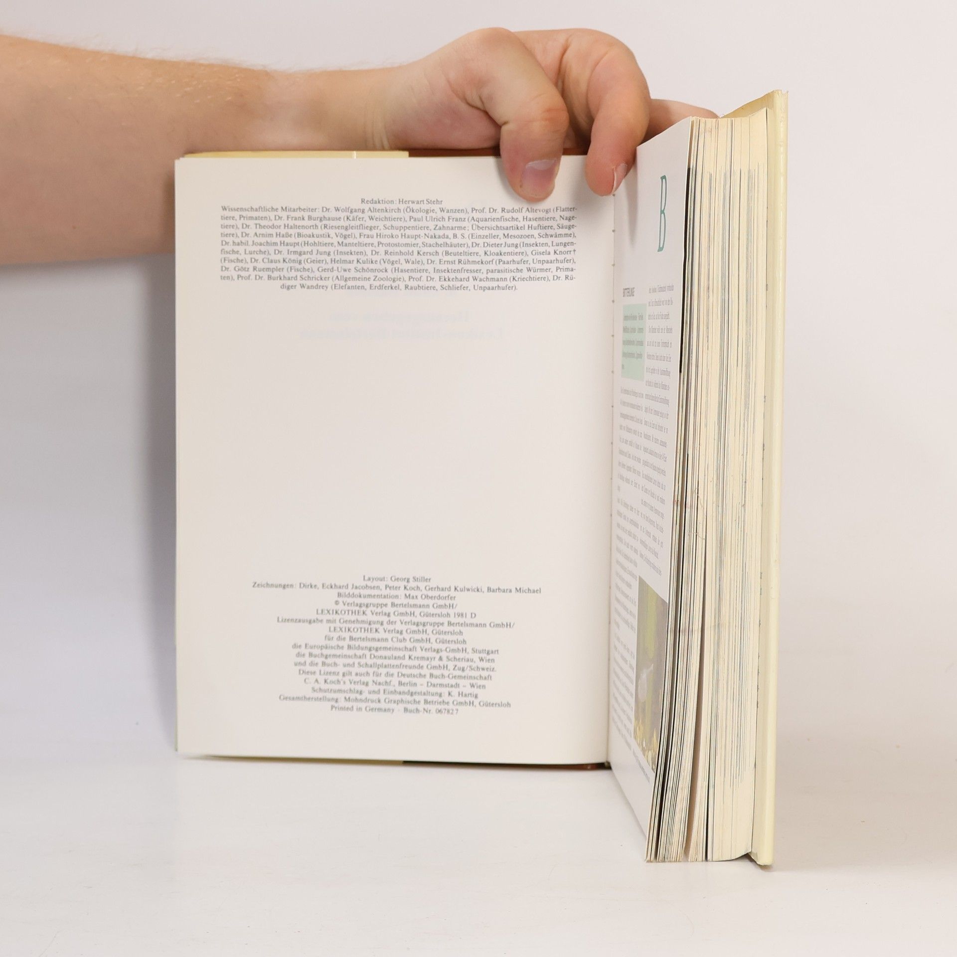 Autorenkollektiv Das moderne Tierlexikon 2. Bit-Elr